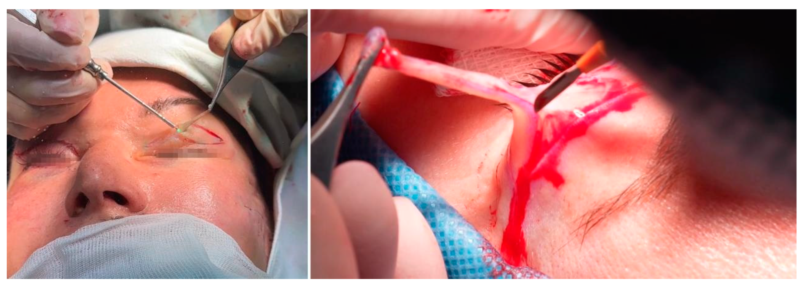 Cosmetics 12 00039 g017