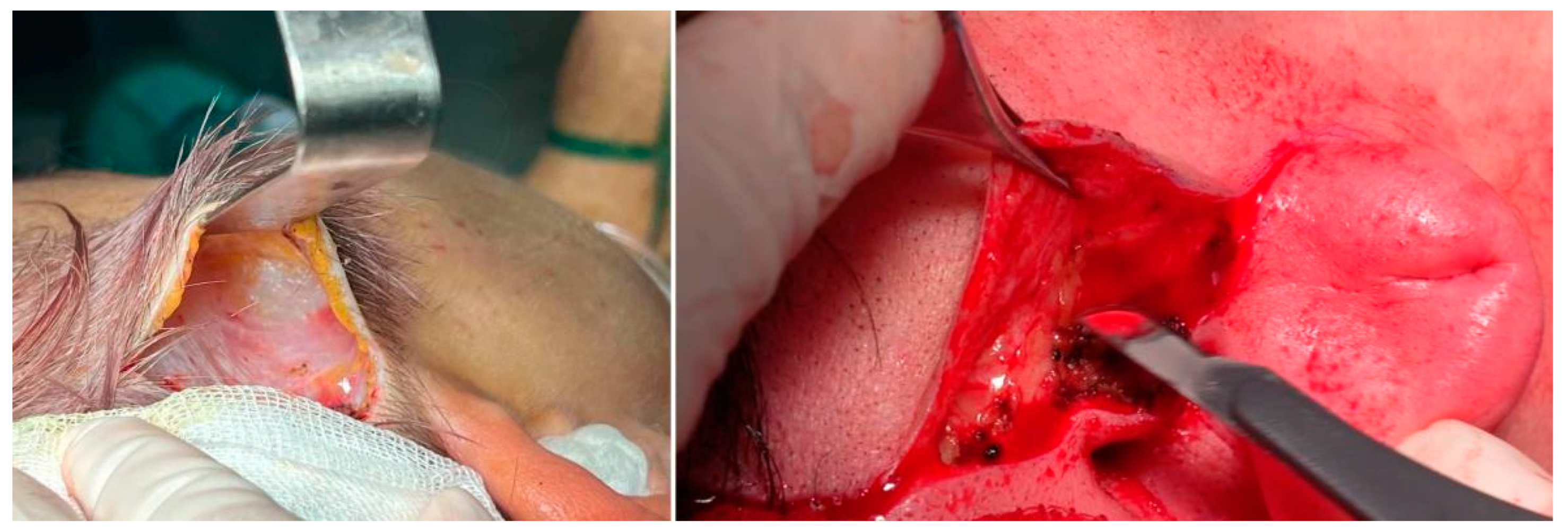 Cosmetics 12 00039 g018