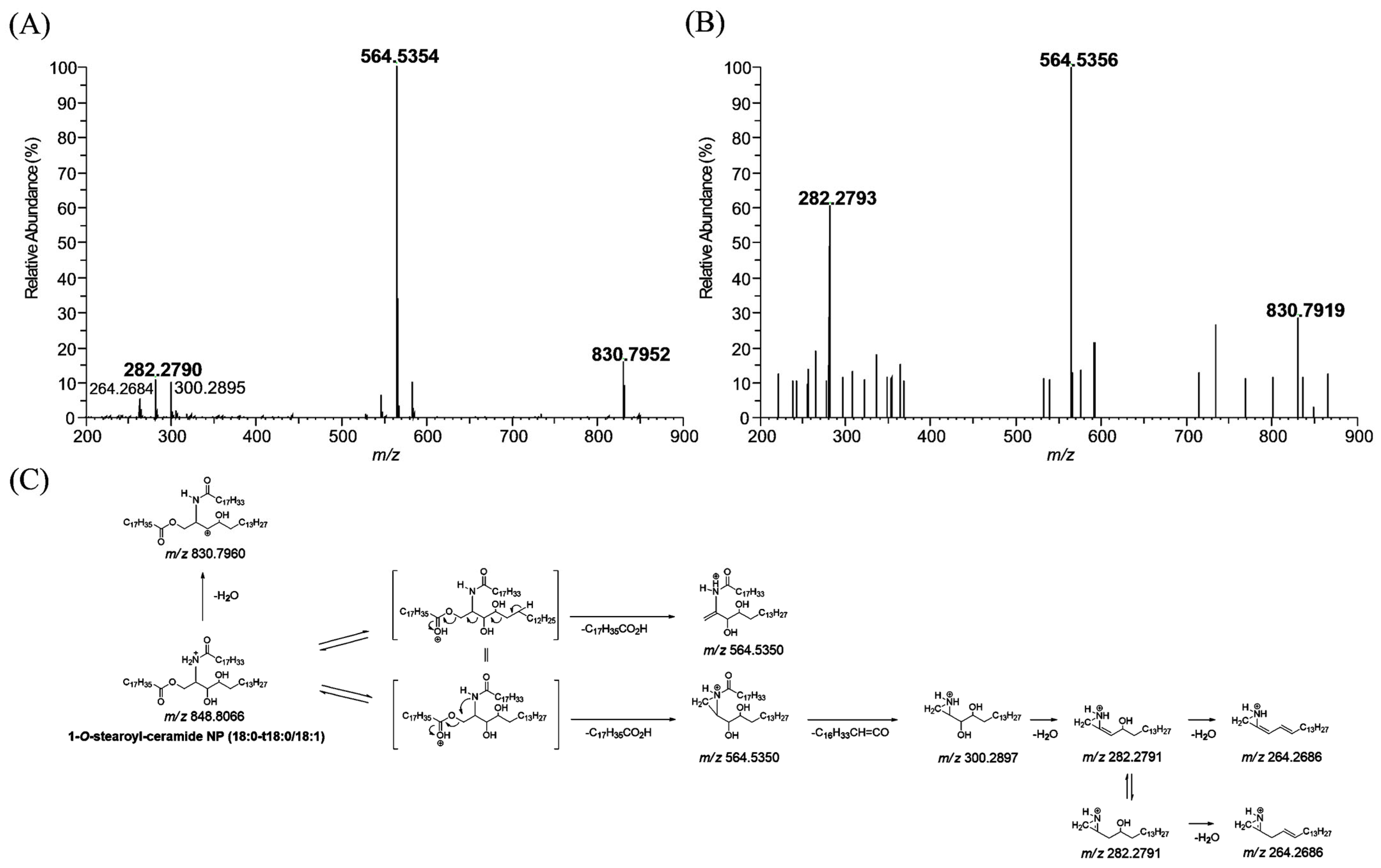 Cosmetics 12 00047 g003