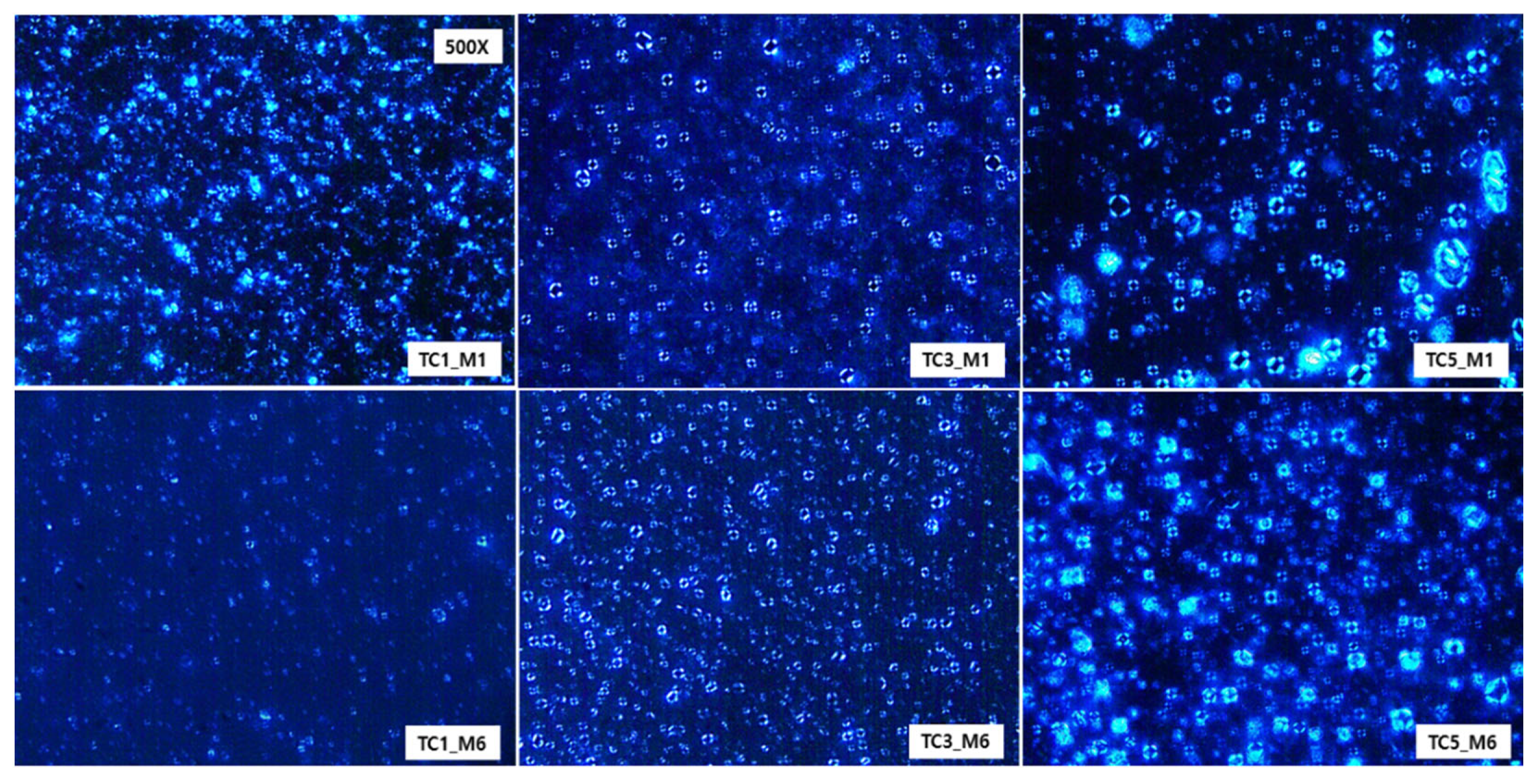 Cosmetics 12 00047 g005