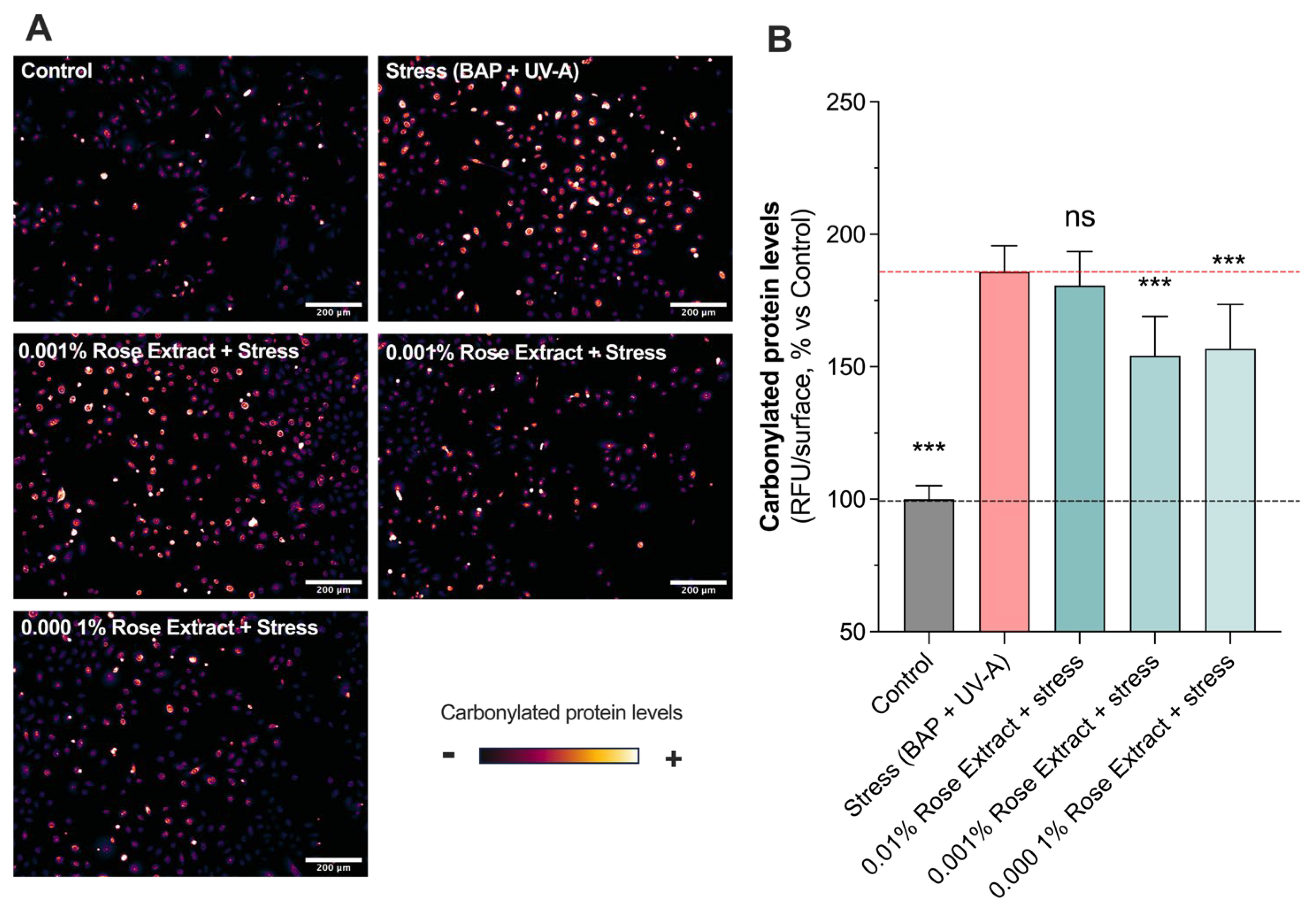 Cosmetics 12 00057 g002