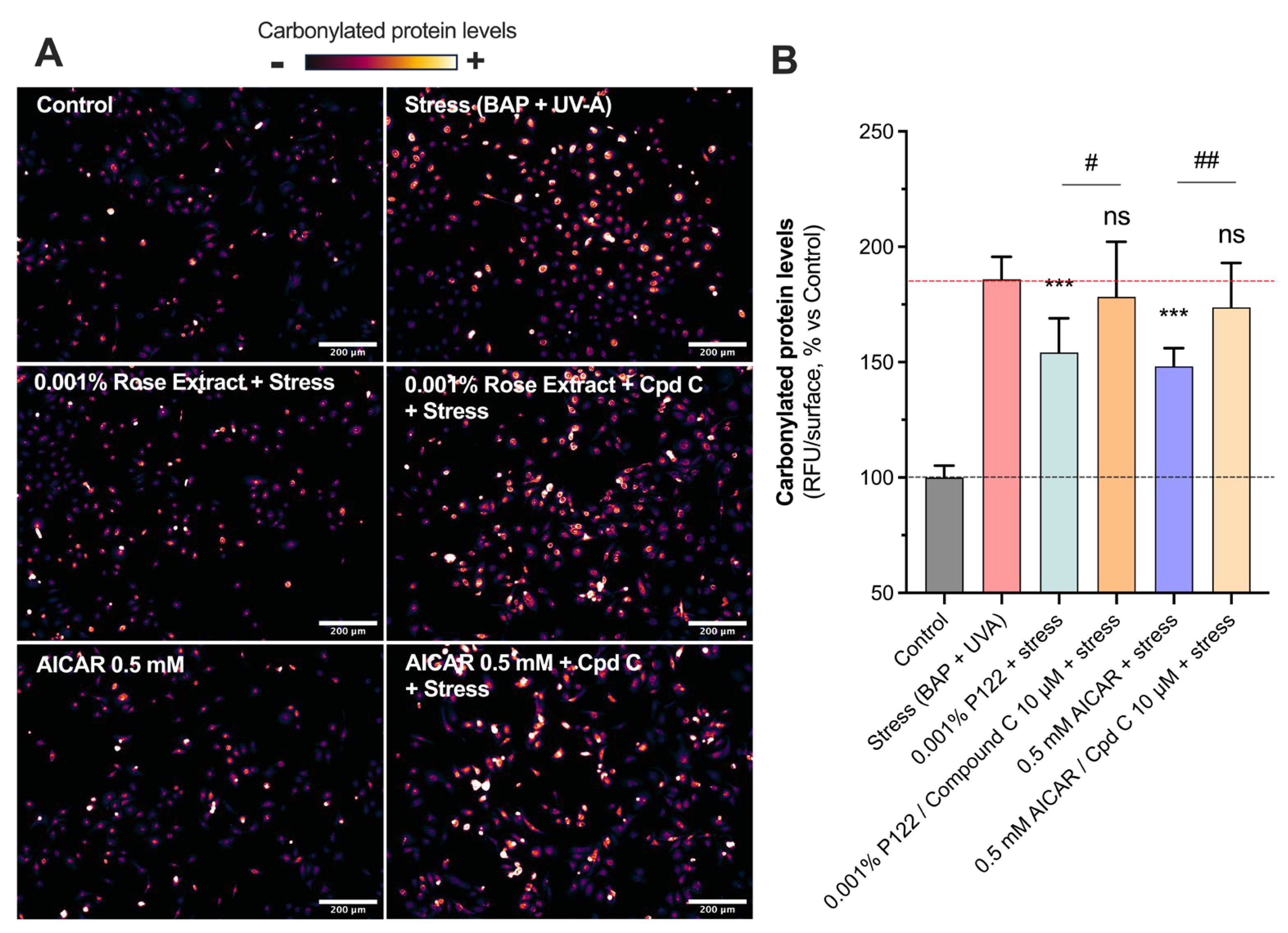 Cosmetics 12 00057 g004