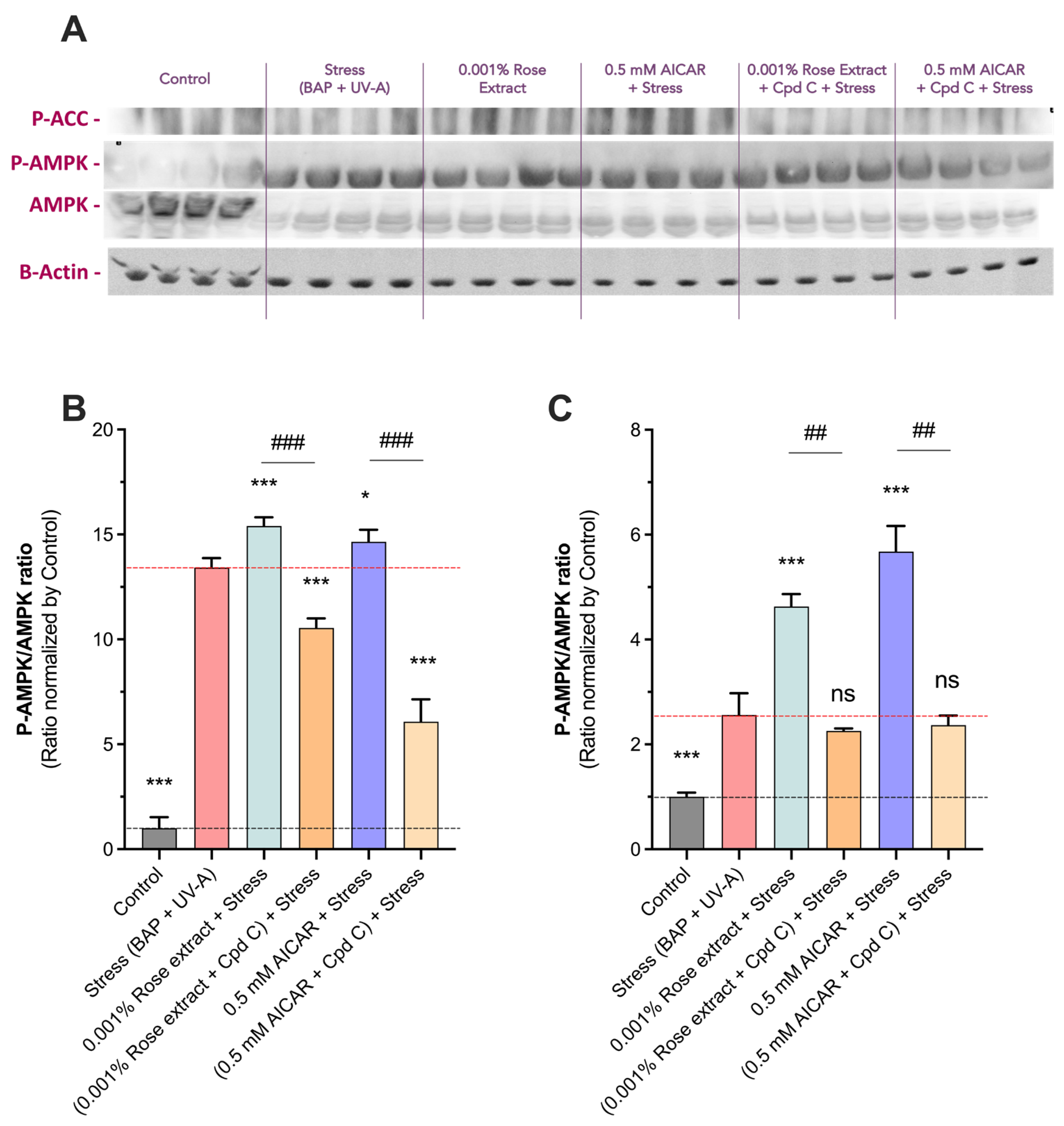 Cosmetics 12 00057 g006