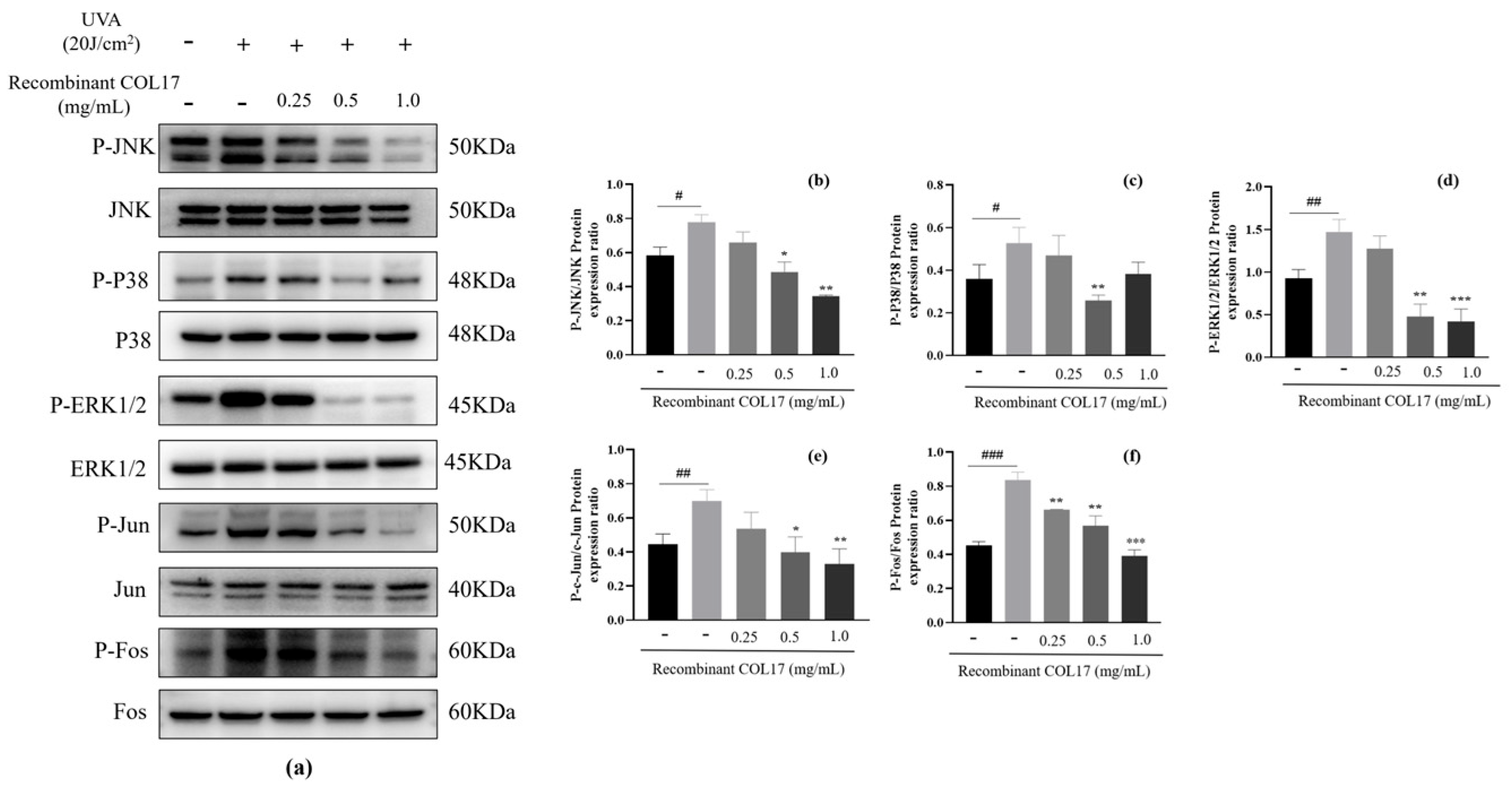 Cosmetics 12 00059 g005