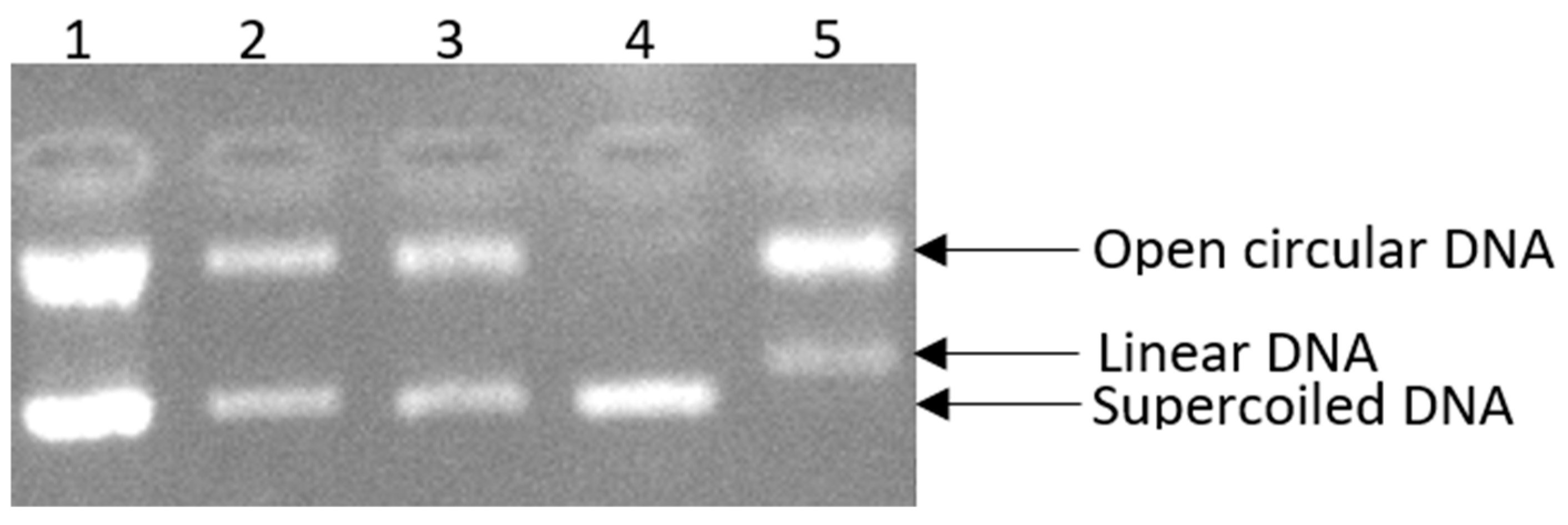 Cosmetics 12 00062 g002