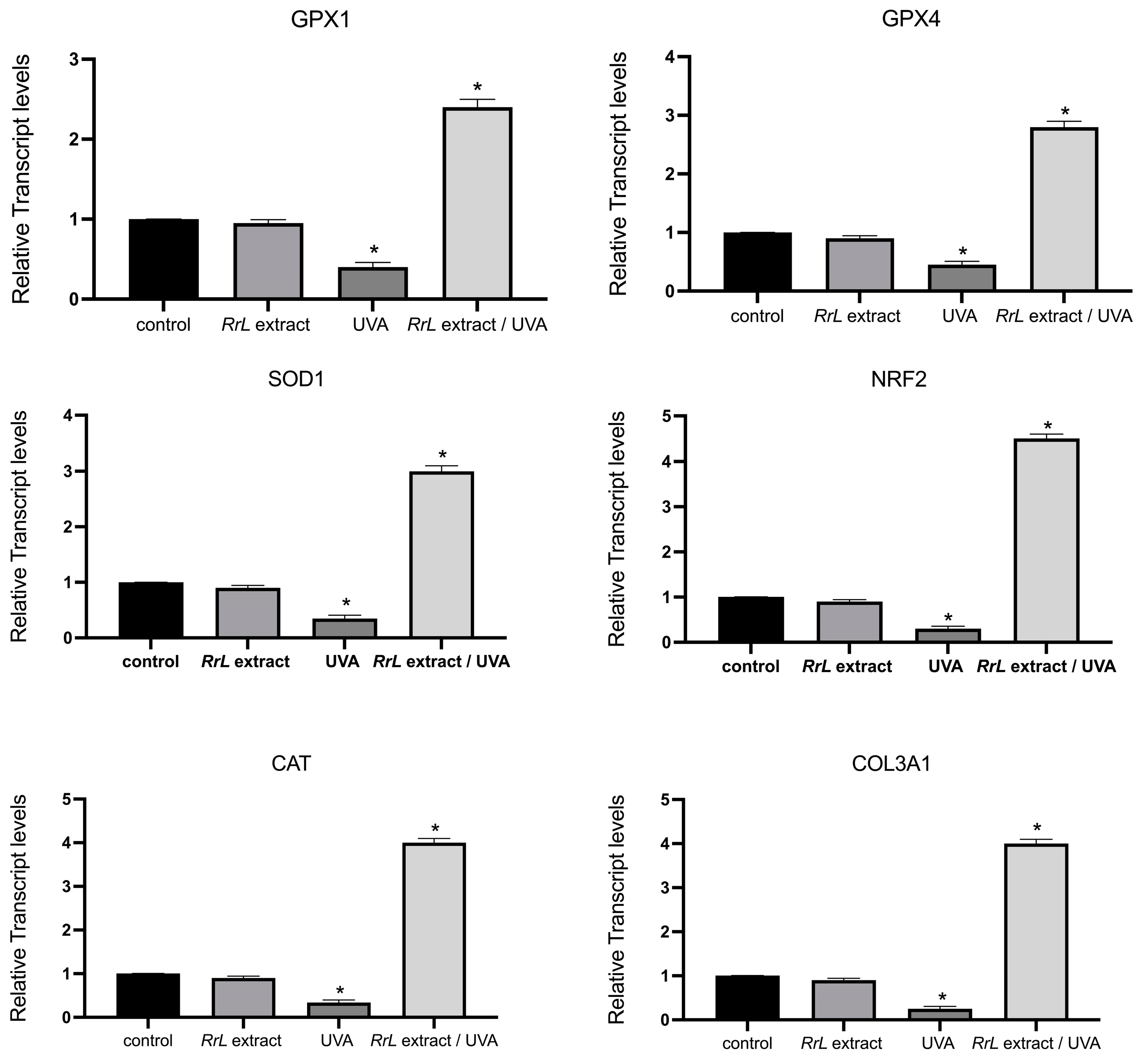 Cosmetics 12 00062 g005