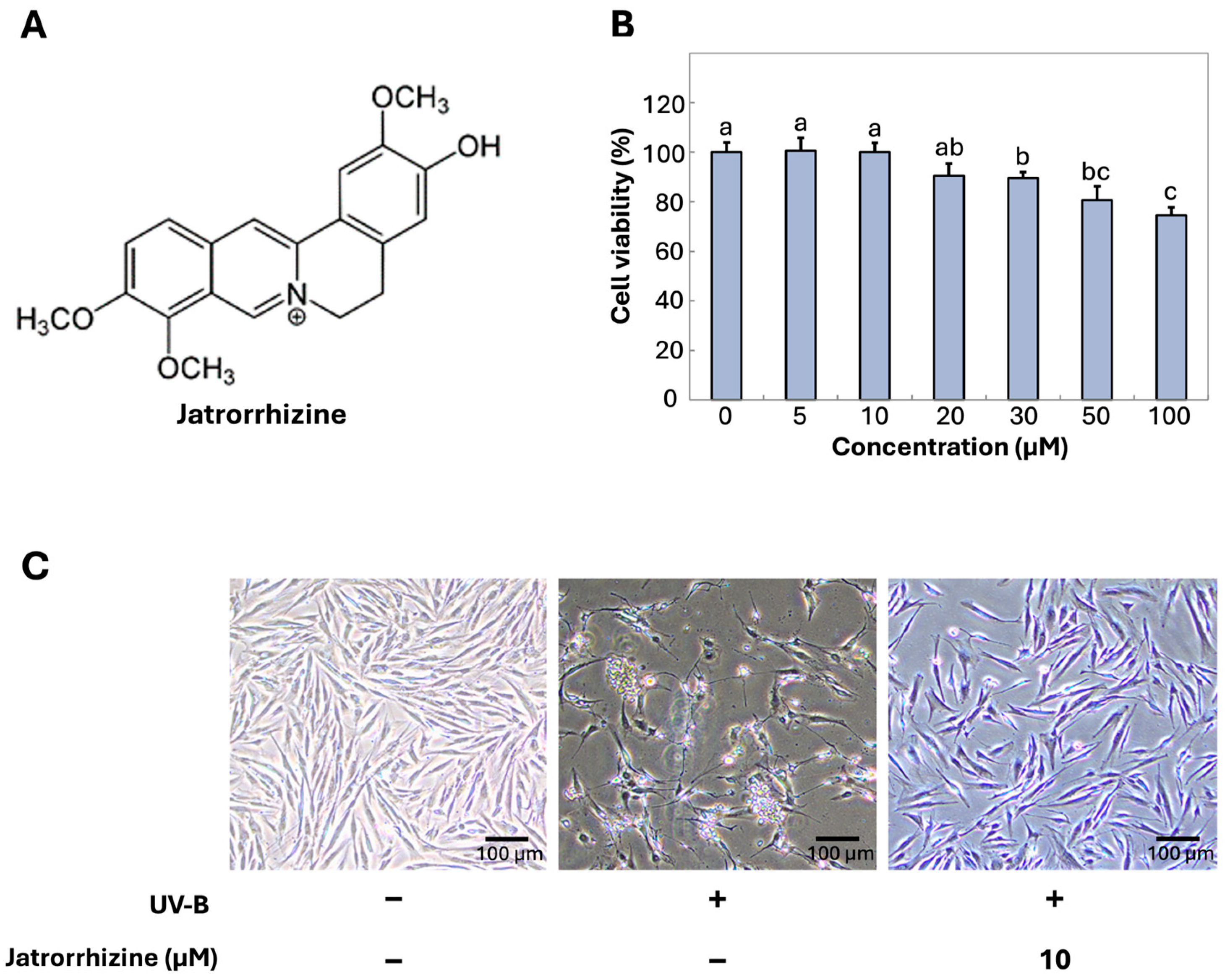 Cosmetics 12 00070 g001 Cosmetics 12 00070 g001
