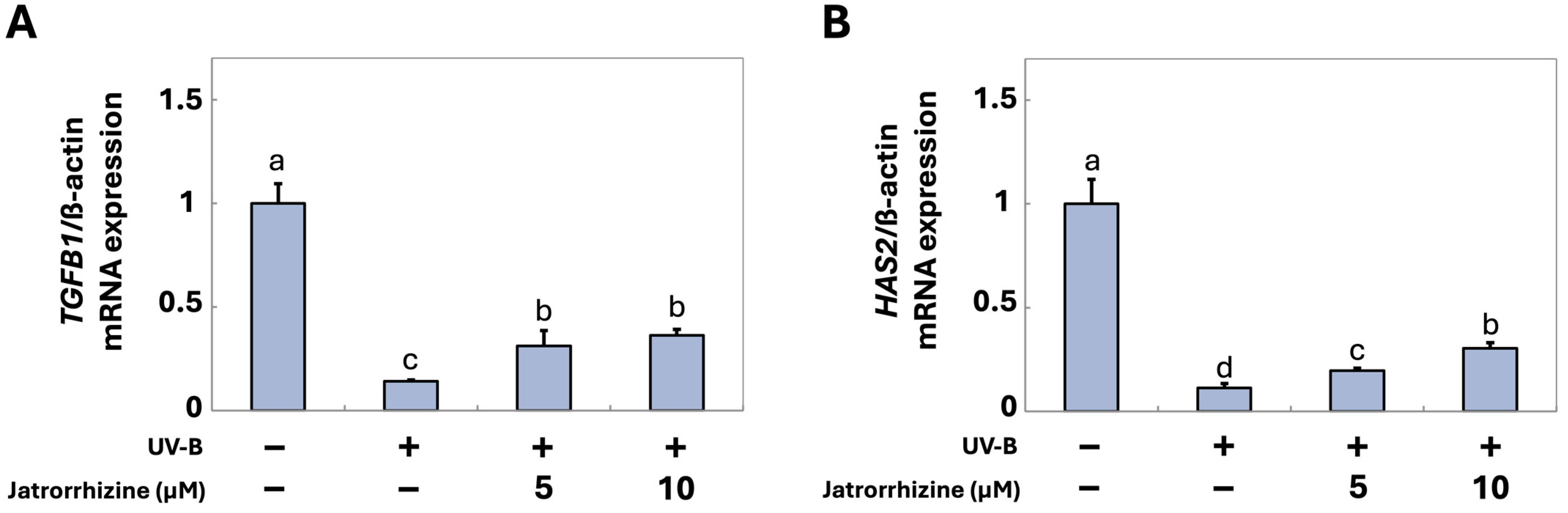 Cosmetics 12 00070 g003 Cosmetics 12 00070 g003