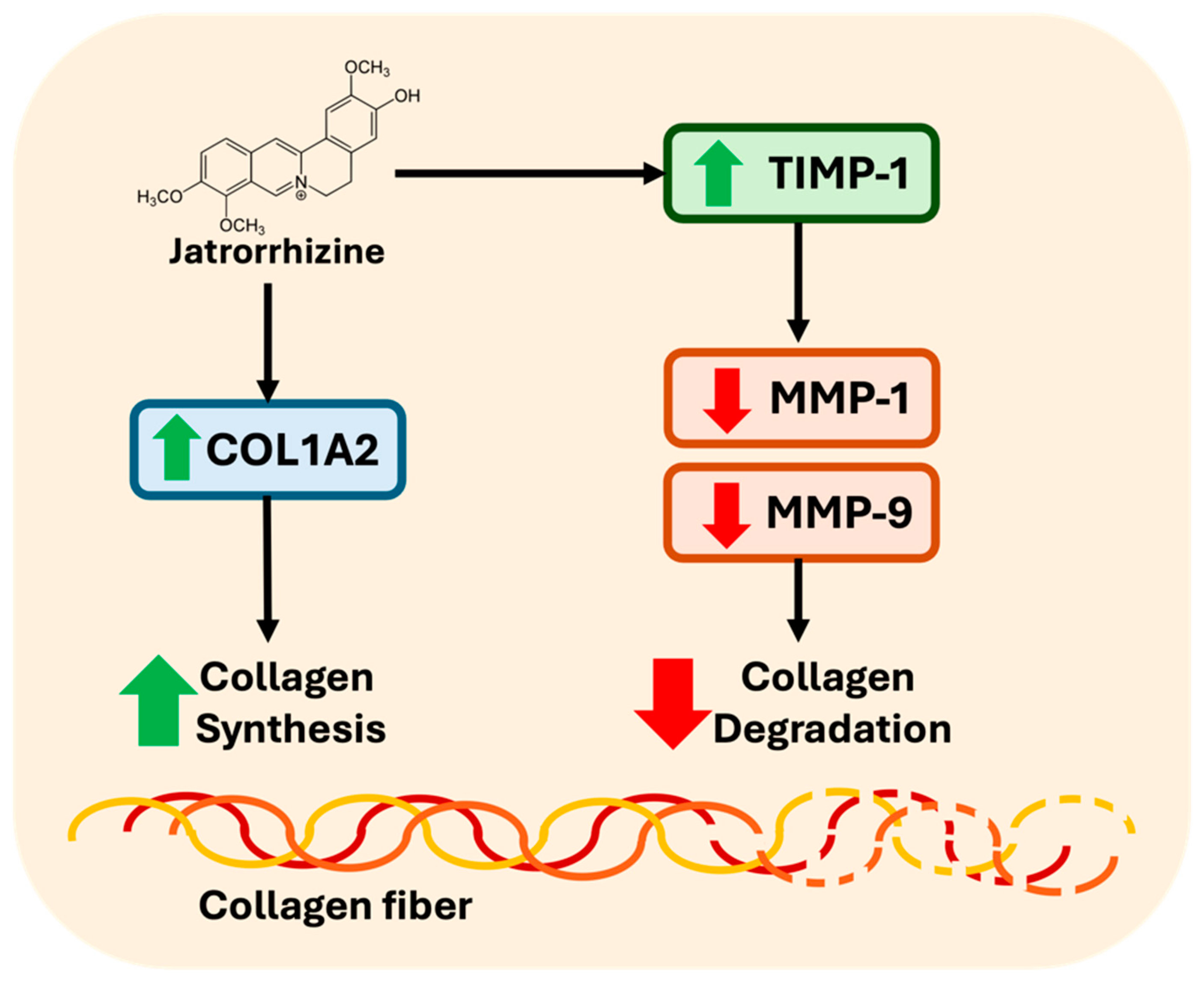 Cosmetics 12 00070 g004 Cosmetics 12 00070 g004