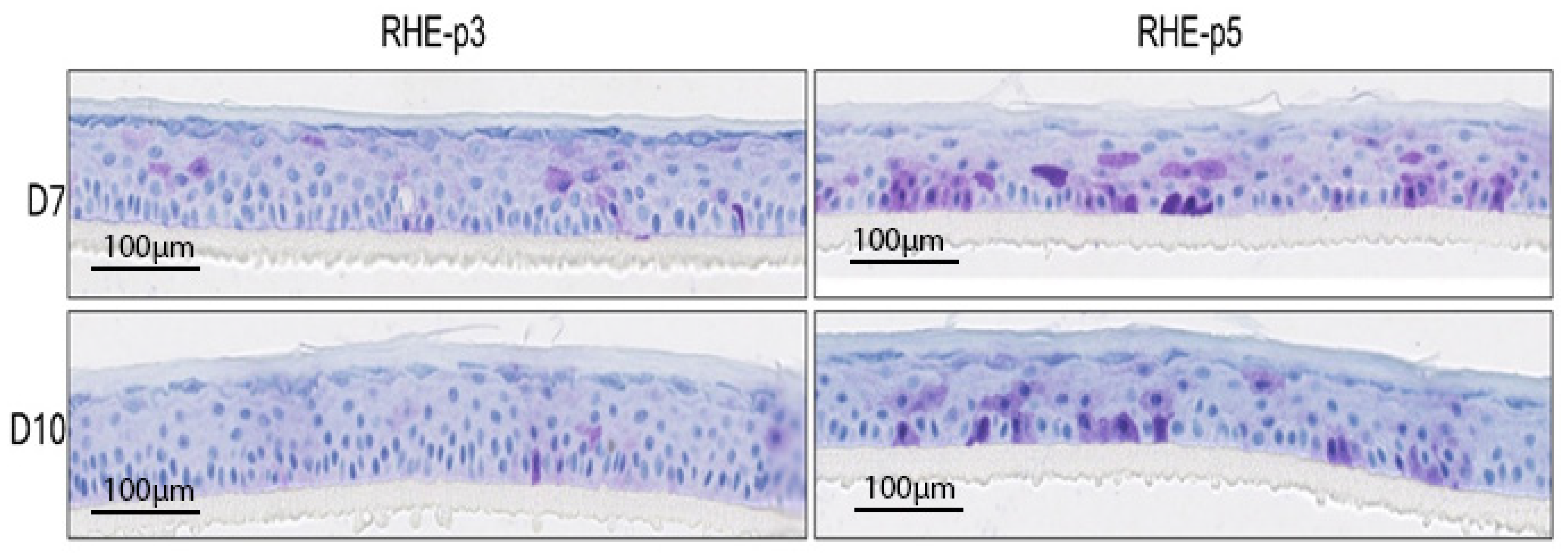 Cosmetics 12 00071 g003