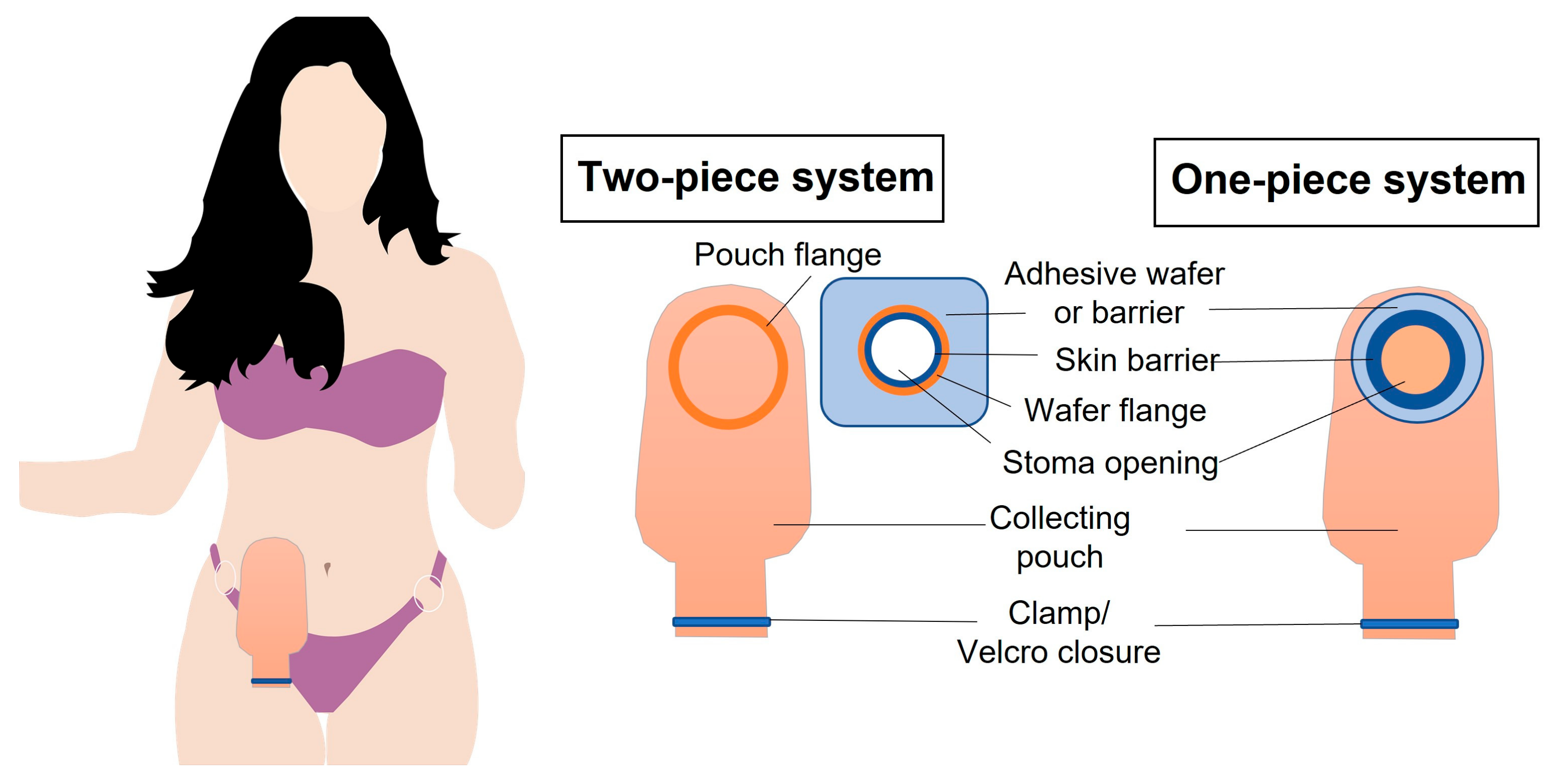 Cosmetics 12 00074 g002 Cosmetics 12 00074 g002