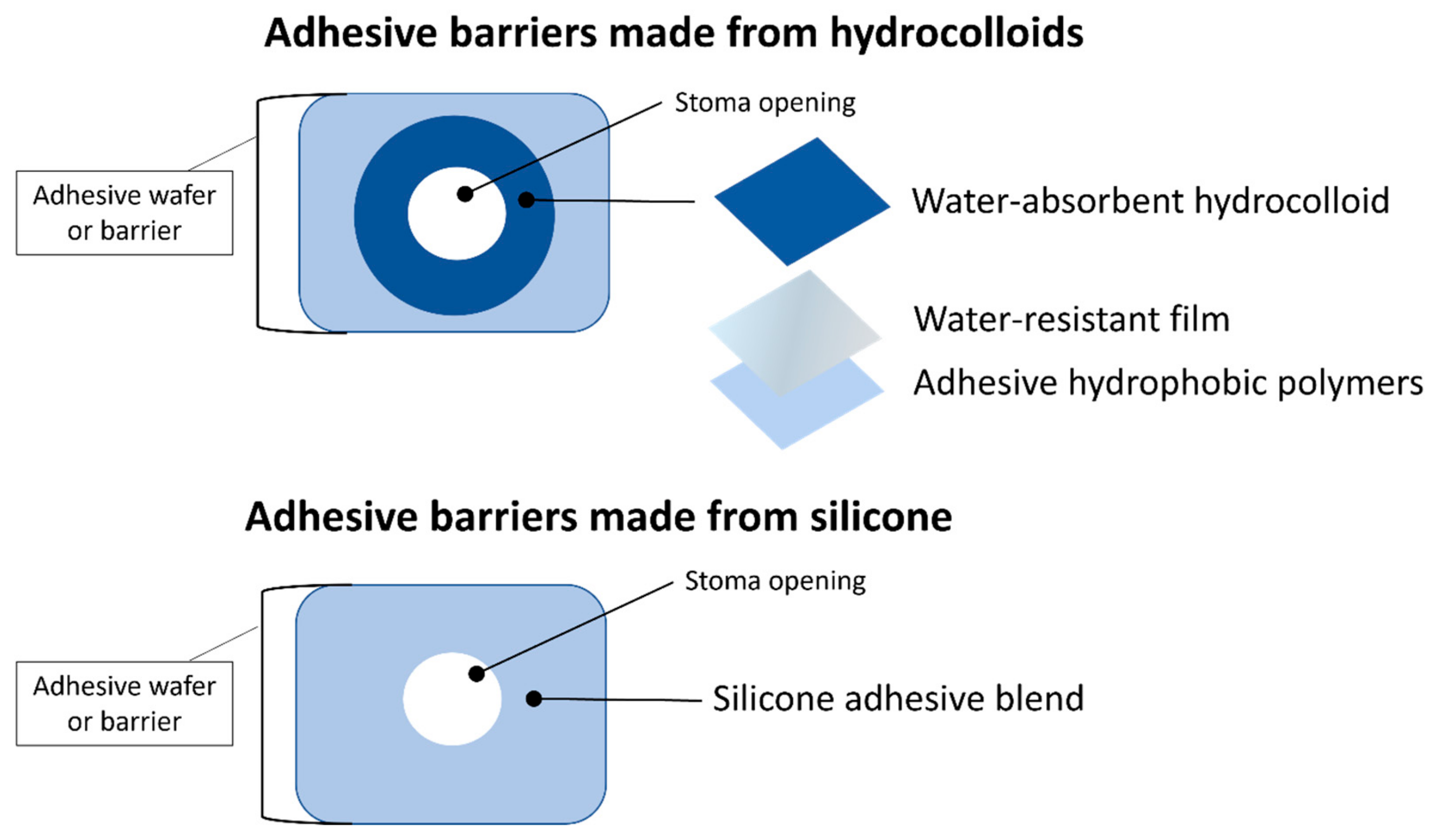 Cosmetics 12 00074 g003 Cosmetics 12 00074 g003