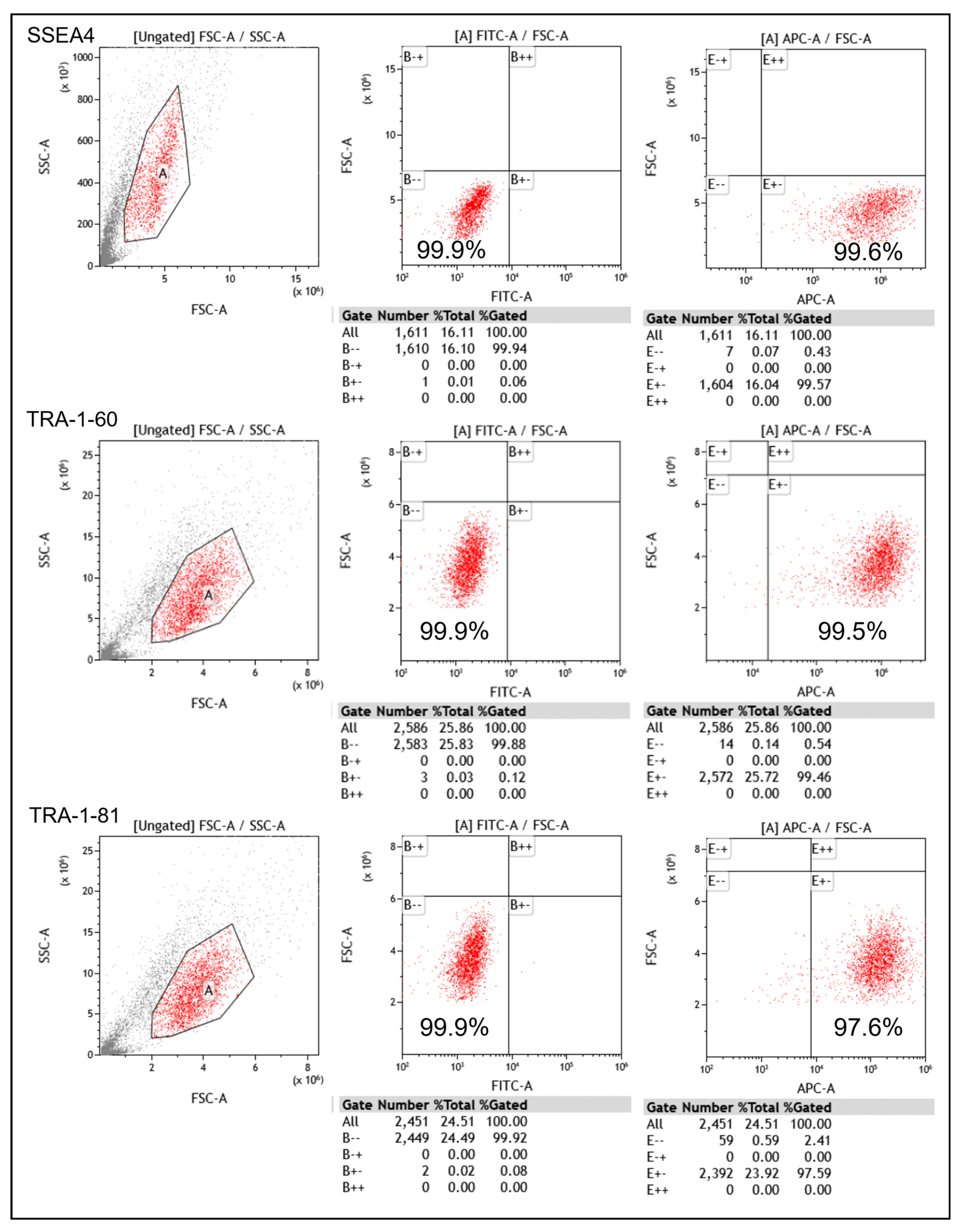 Cosmetics 12 00075 g002