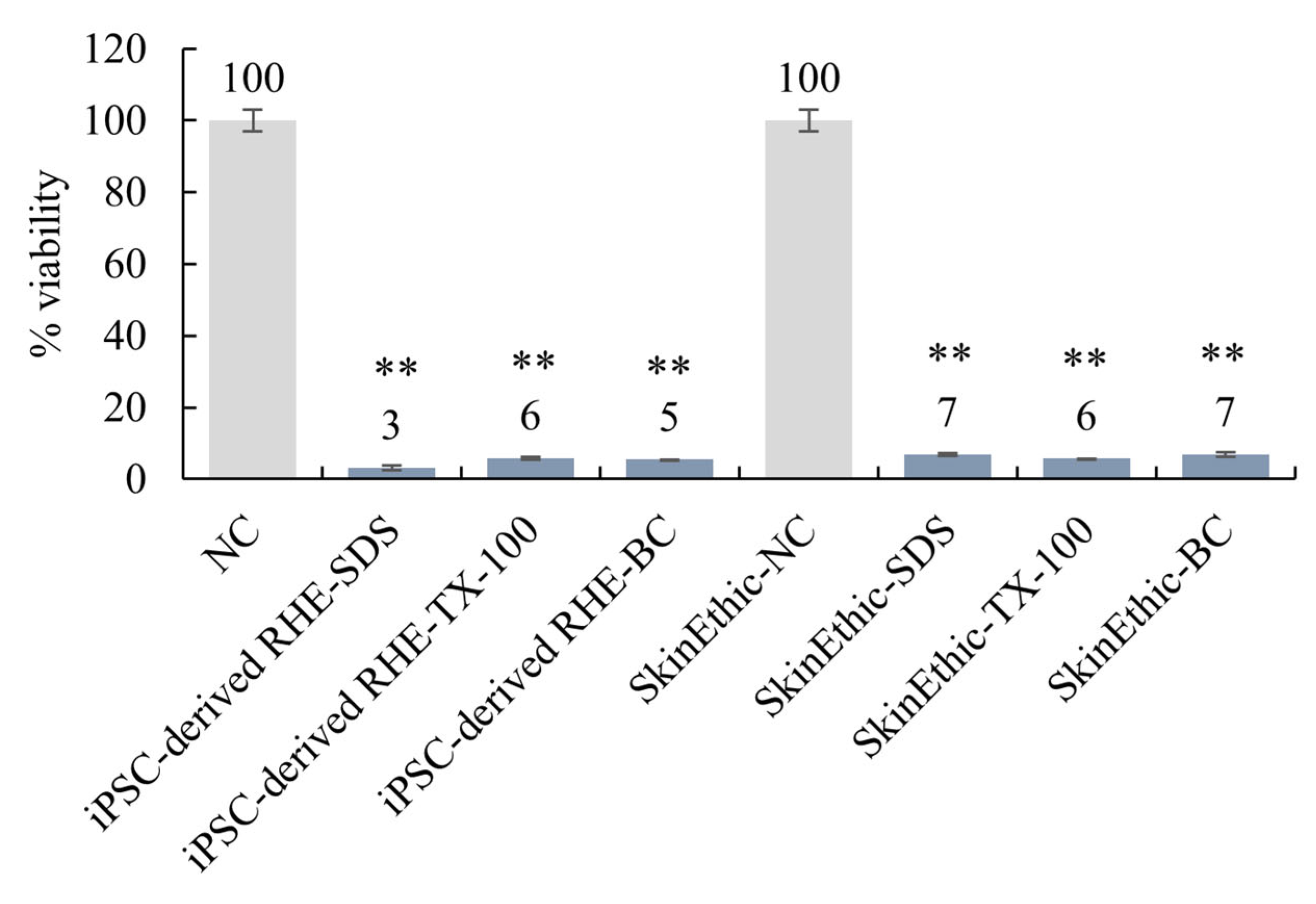 Cosmetics 12 00075 g006