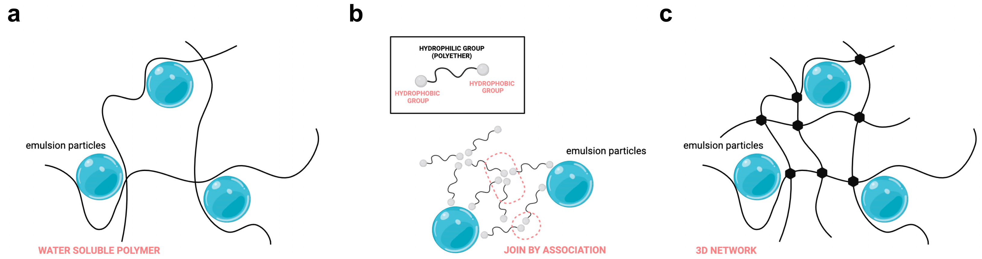 Cosmetics 12 00076 g002