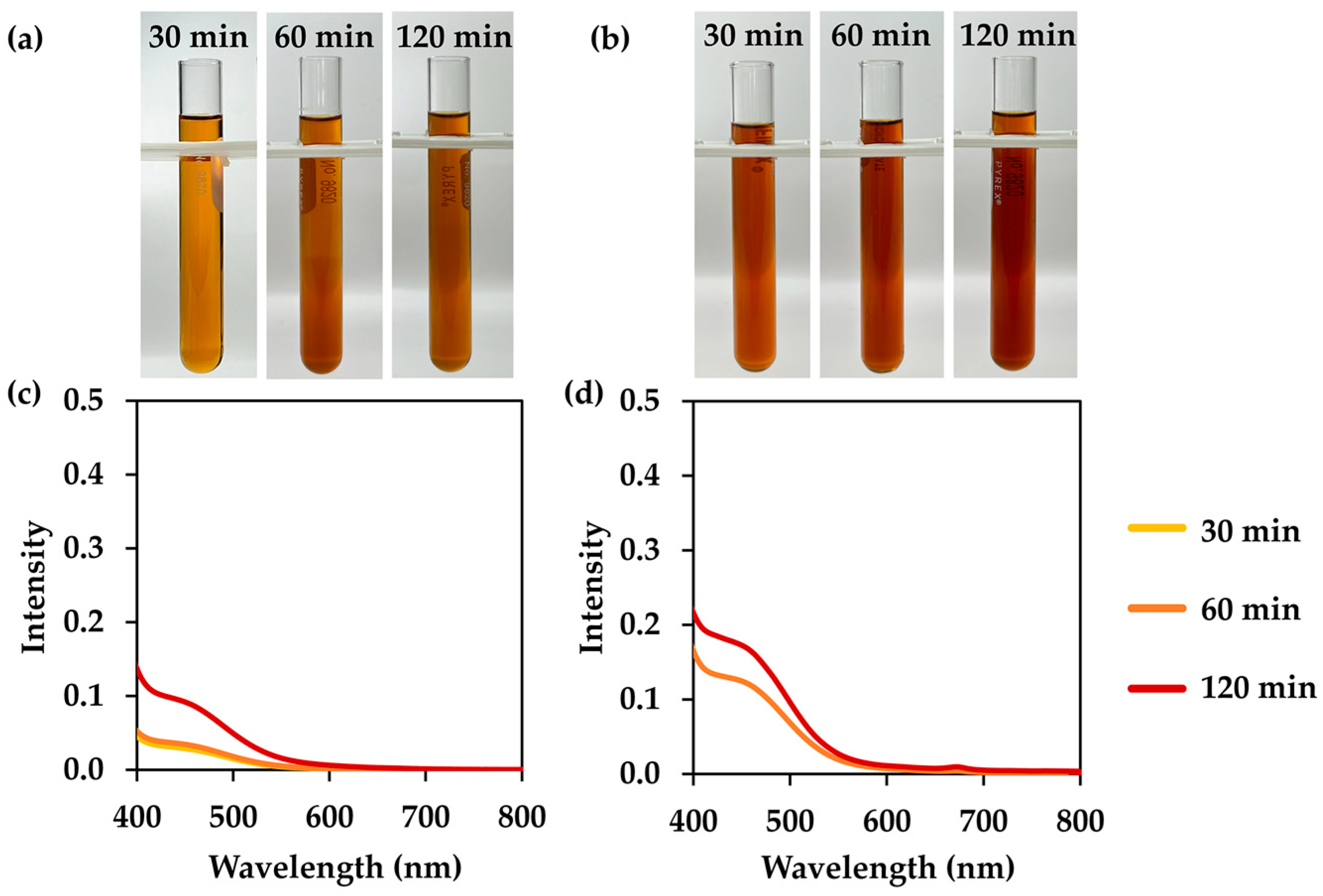 Cosmetics 12 00078 g003