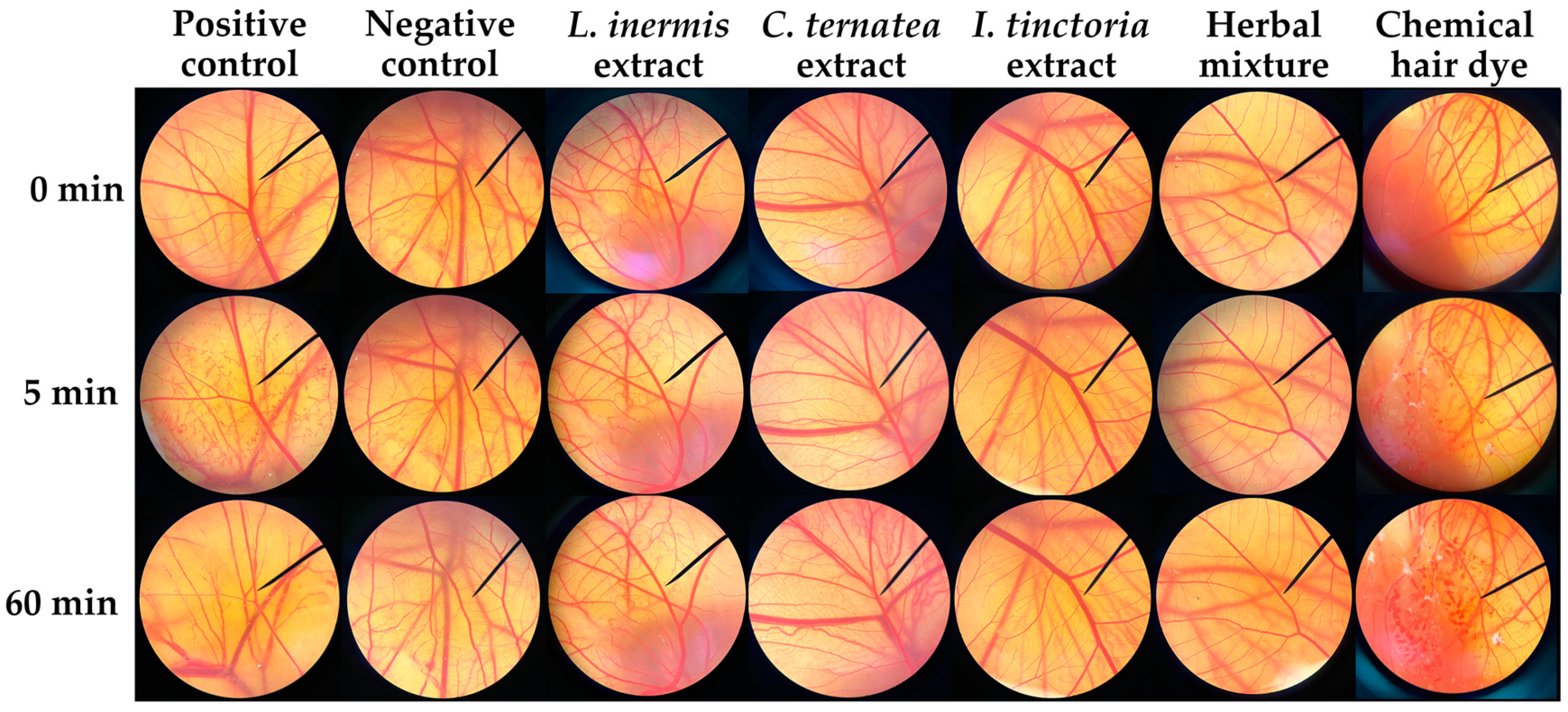 Cosmetics 12 00078 g010