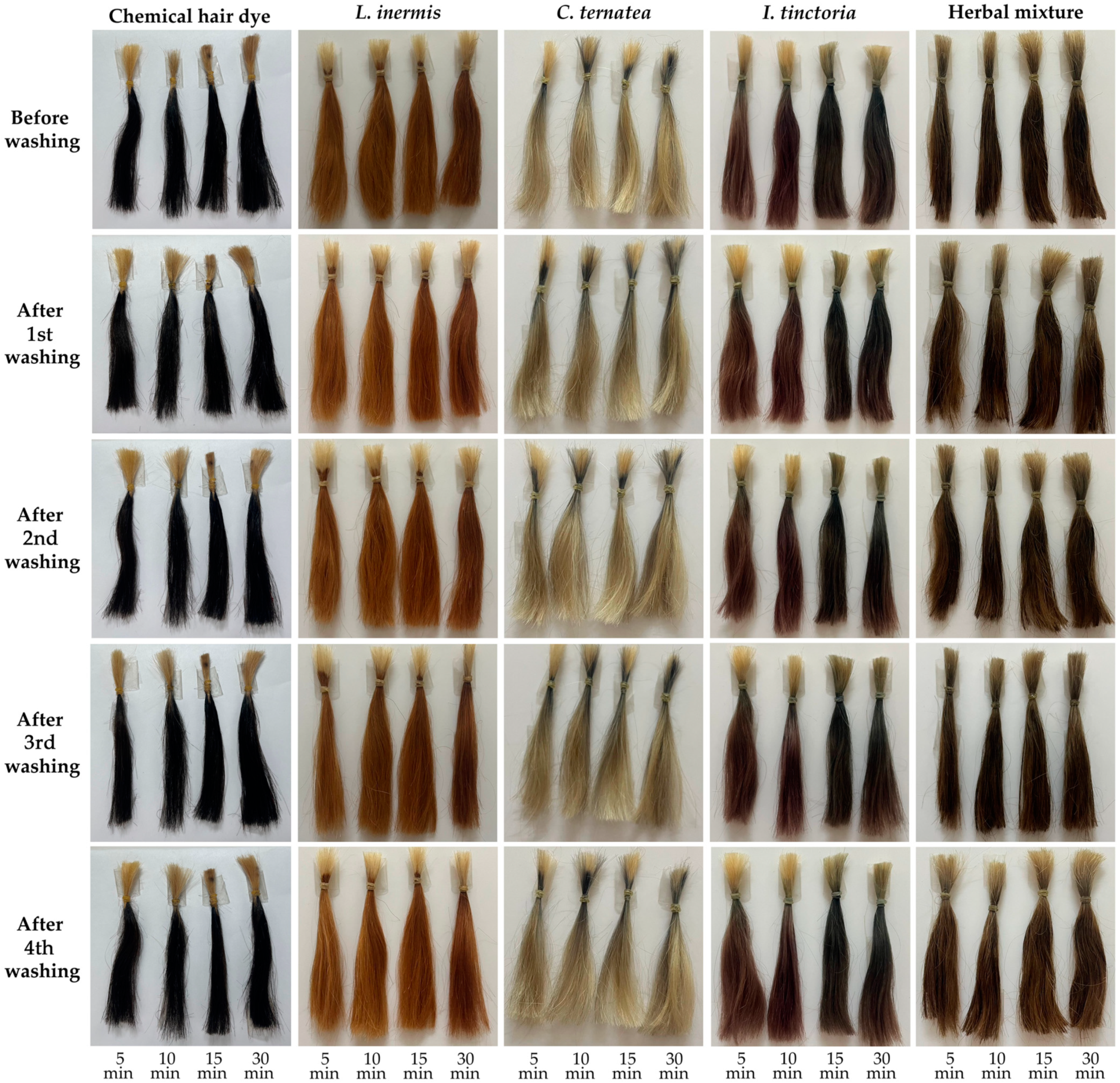 Cosmetics 12 00078 g012