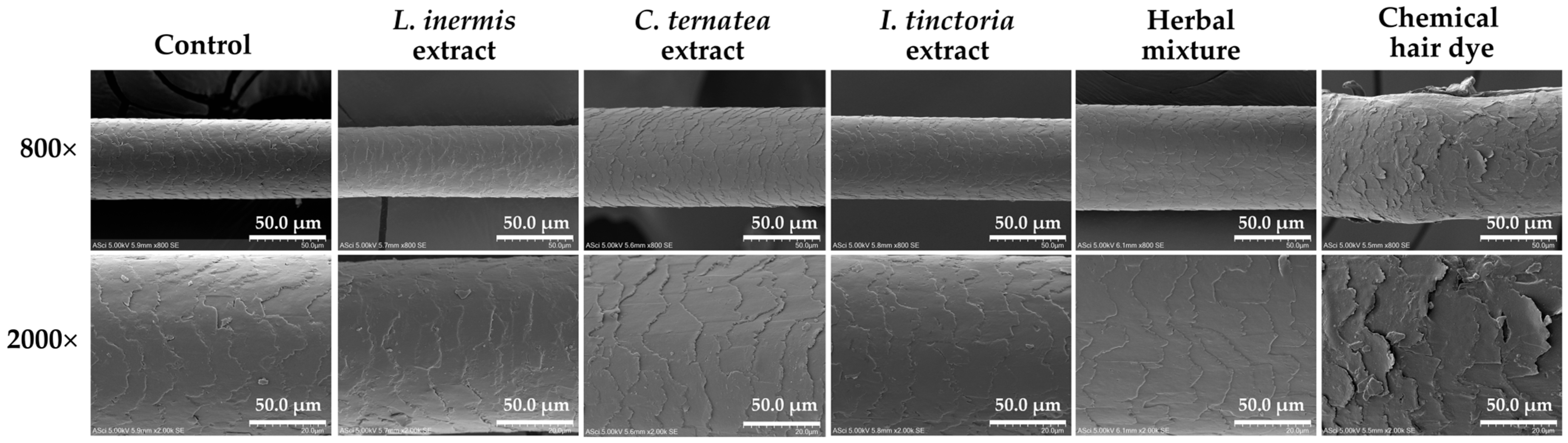 Cosmetics 12 00078 g016