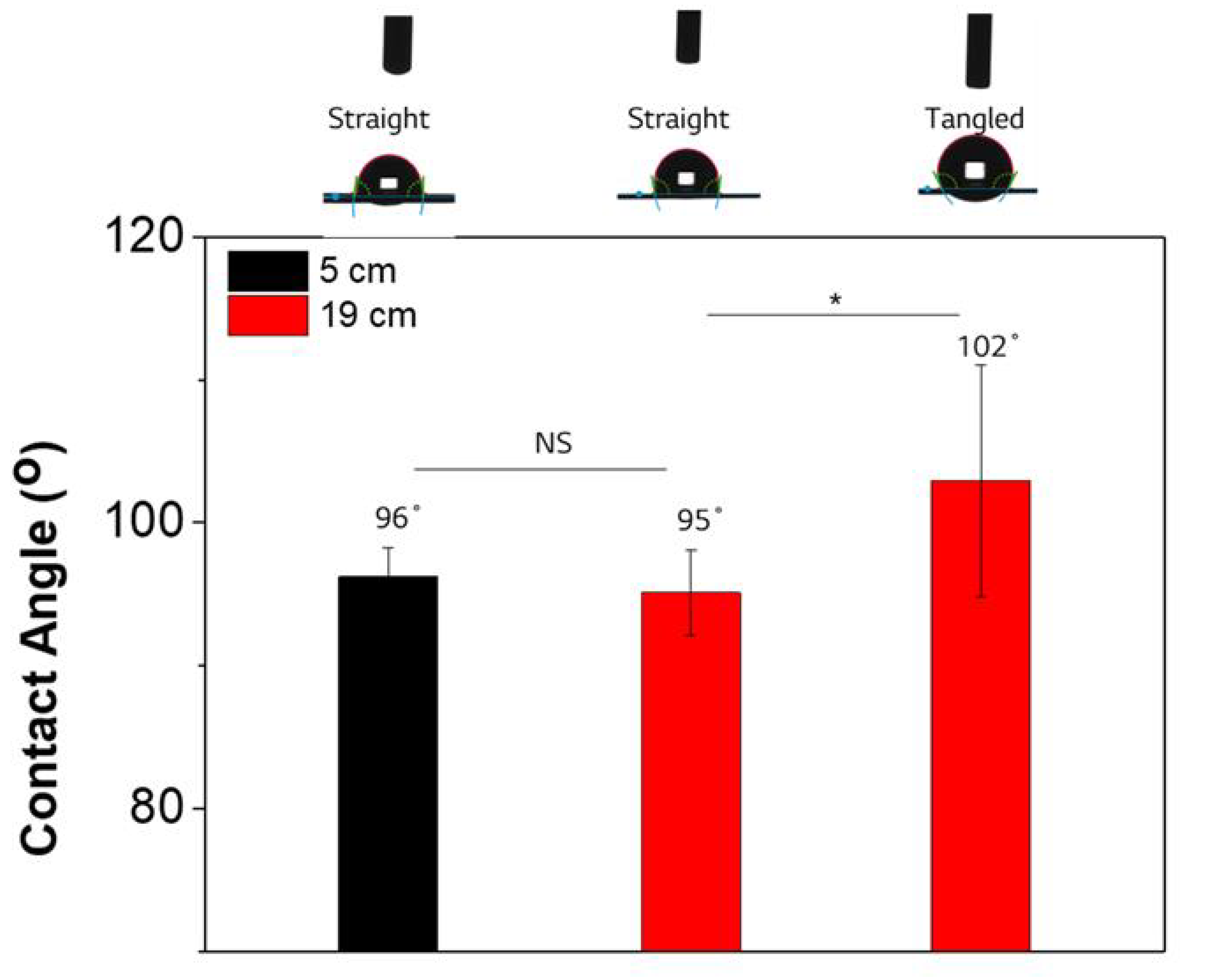 Cosmetics 12 00082 g004
