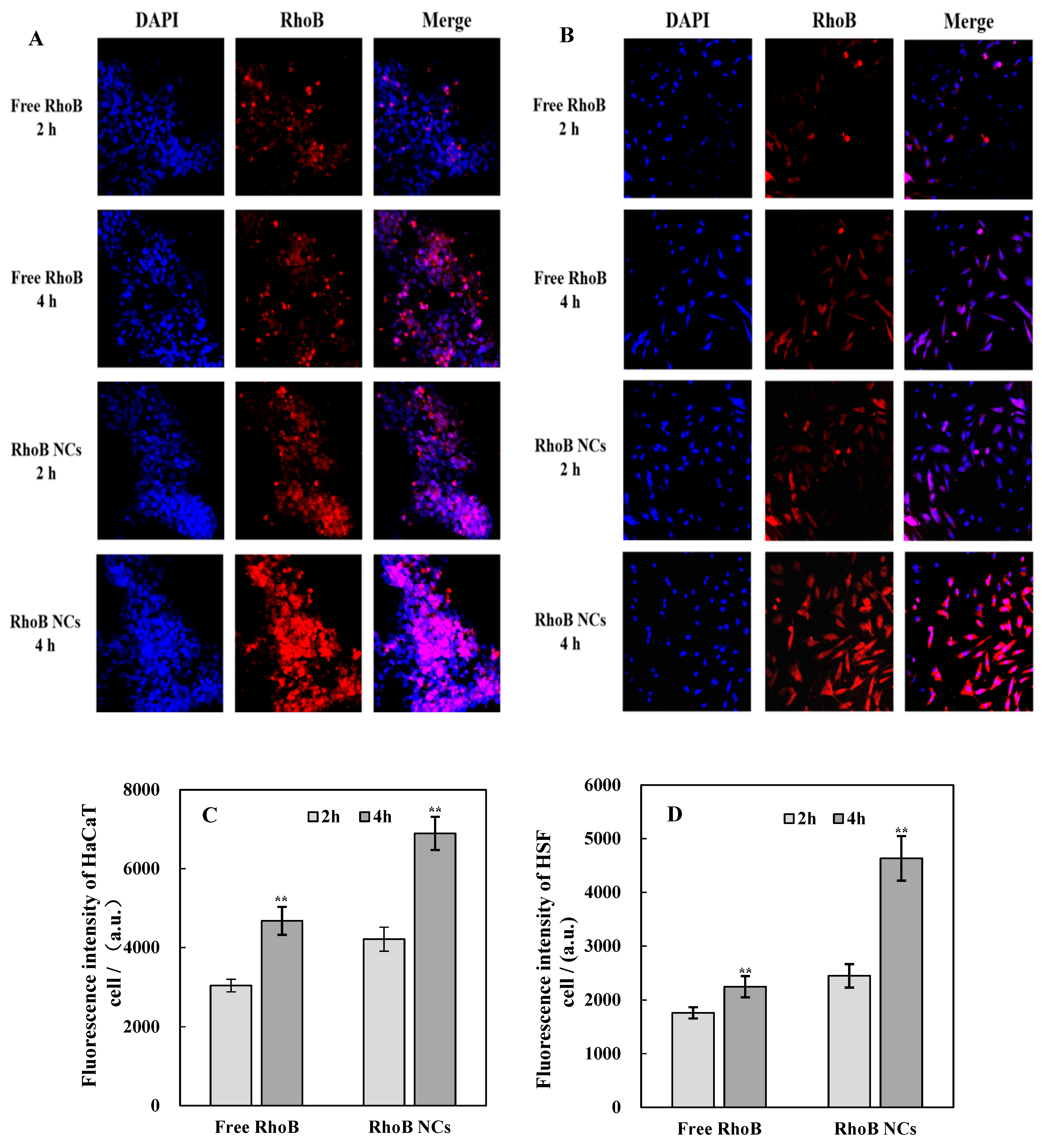 Cosmetics 12 00083 g005 Cosmetics 12 00083 g005