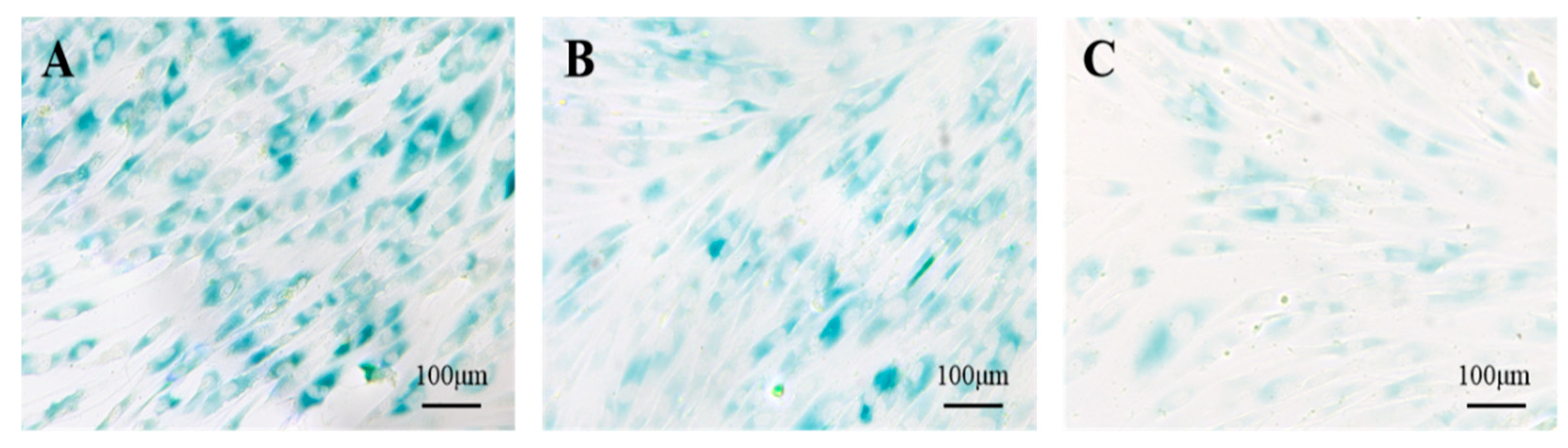 Cosmetics 12 00083 g007 Cosmetics 12 00083 g007