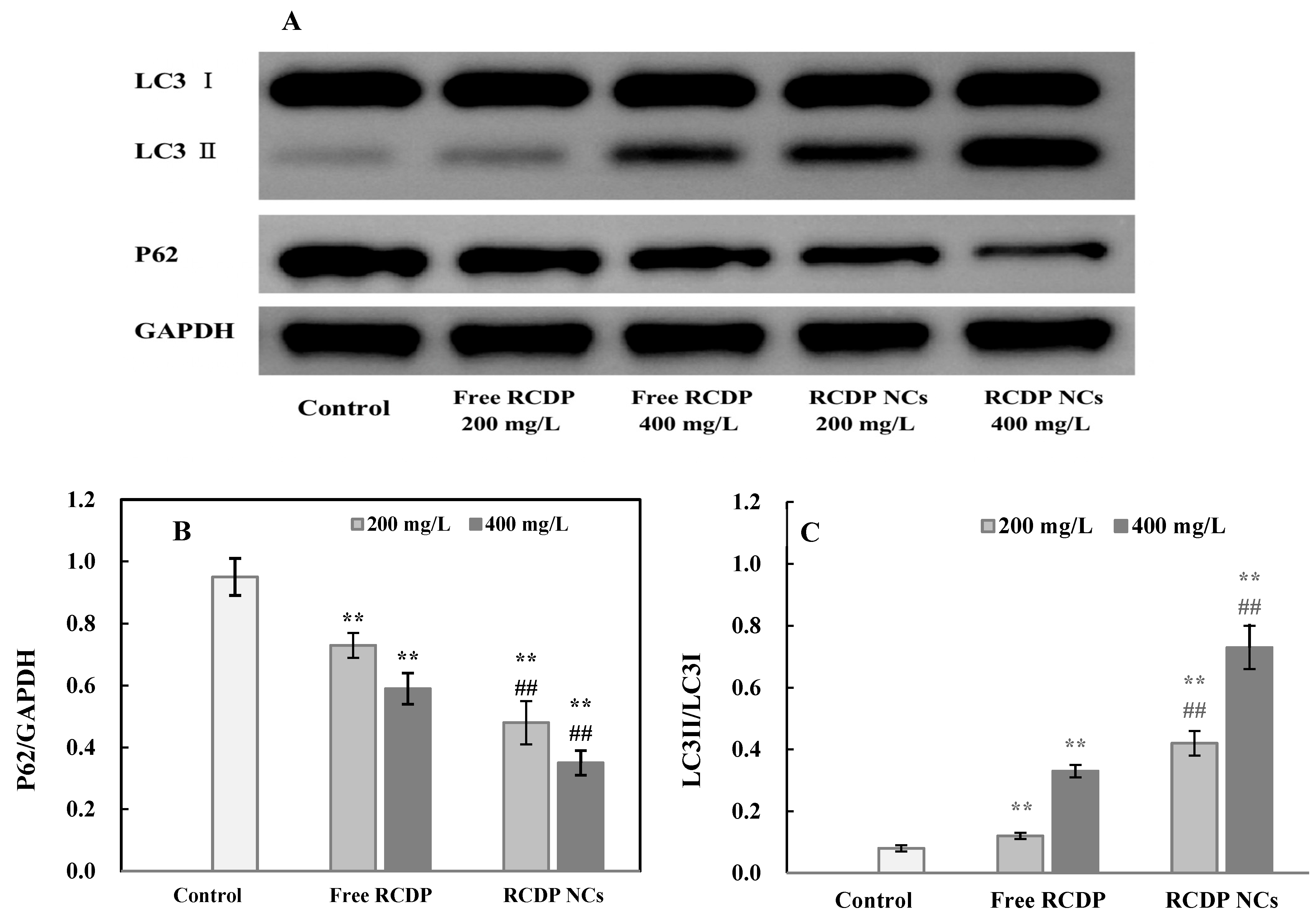Cosmetics 12 00083 g008 Cosmetics 12 00083 g008