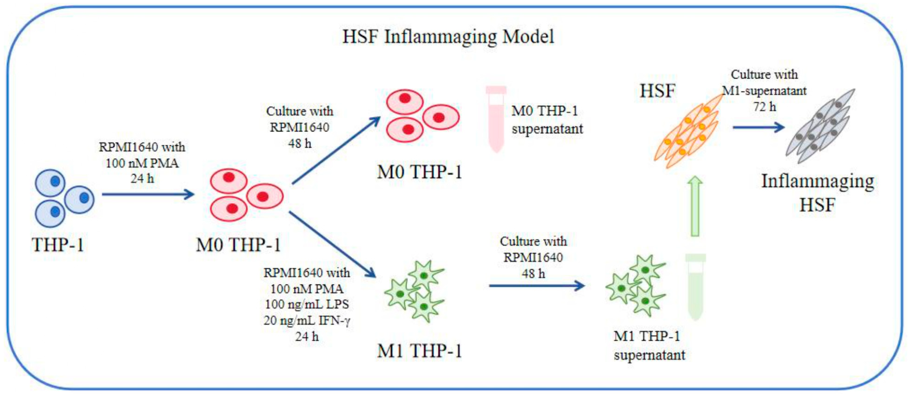 Cosmetics 12 00085 g002
