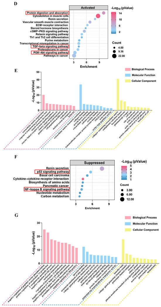Systematic Evaluation and Identification of Anti