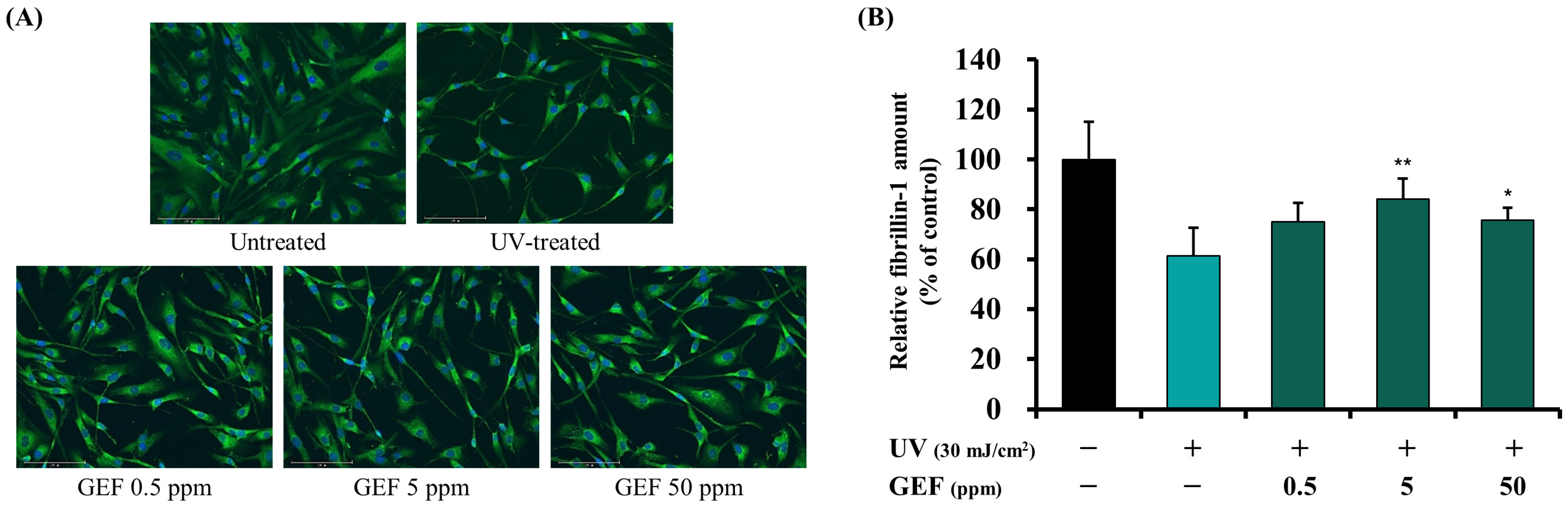 Cosmetics 12 00091 g003