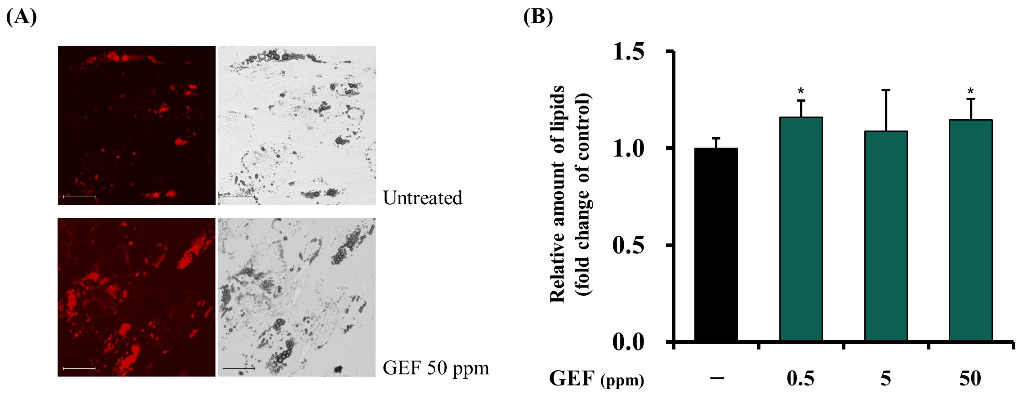 Cosmetics 12 00091 g005