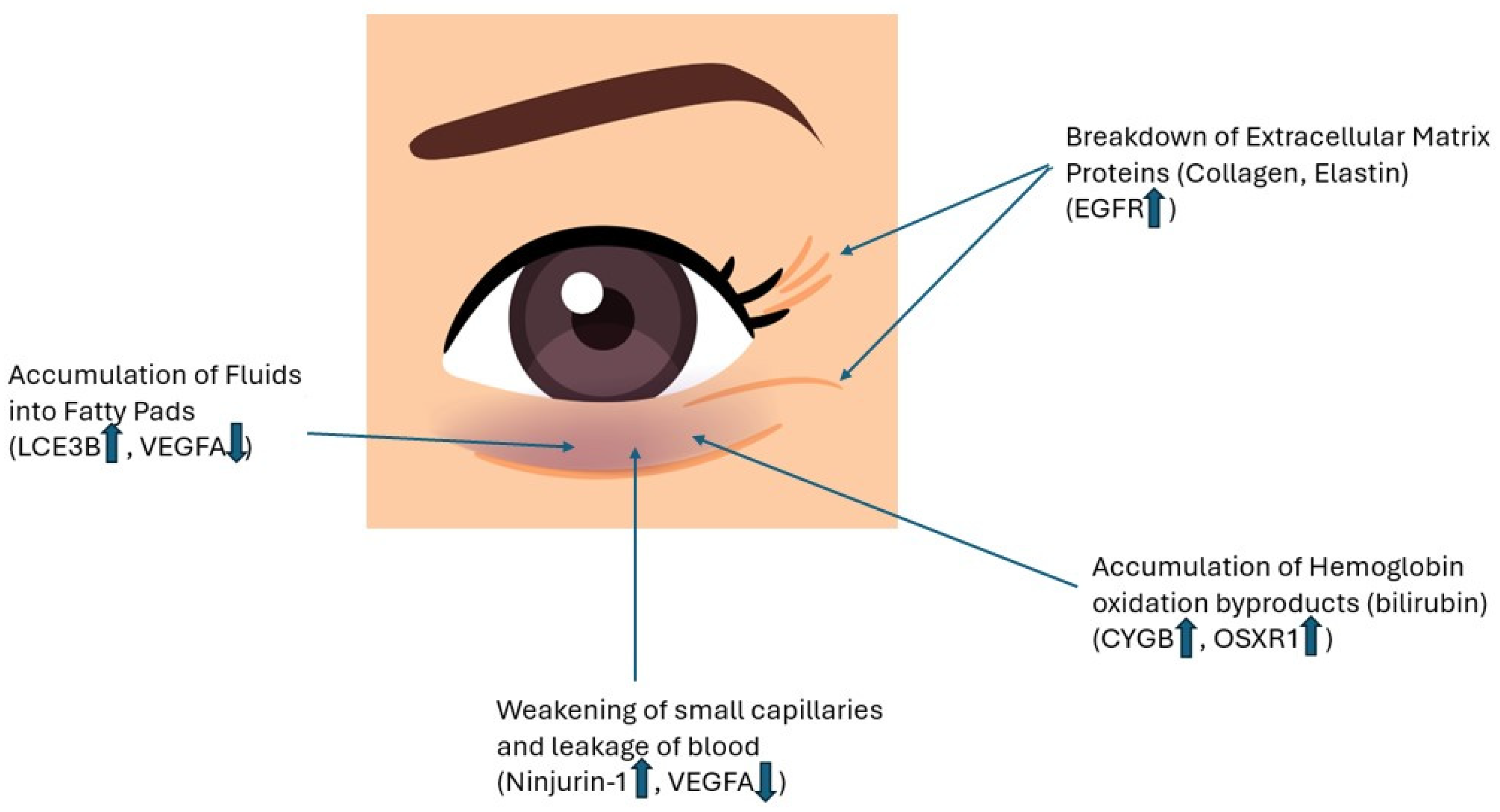 Cosmetics 12 00095 g002