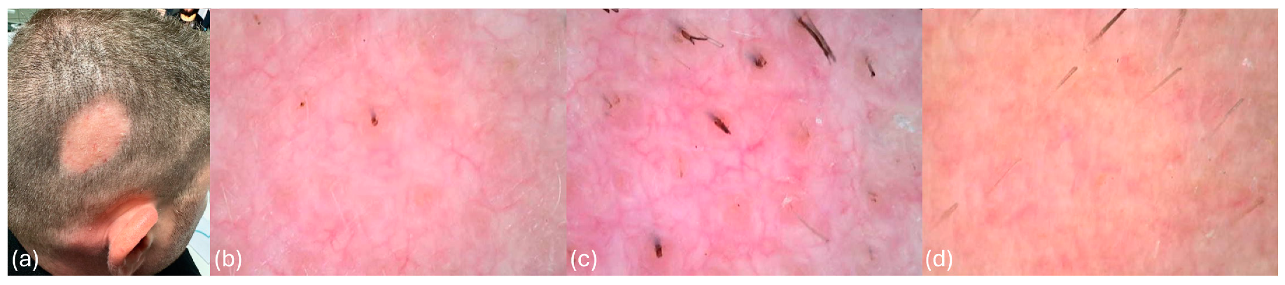 Cosmetics 12 00097 g001