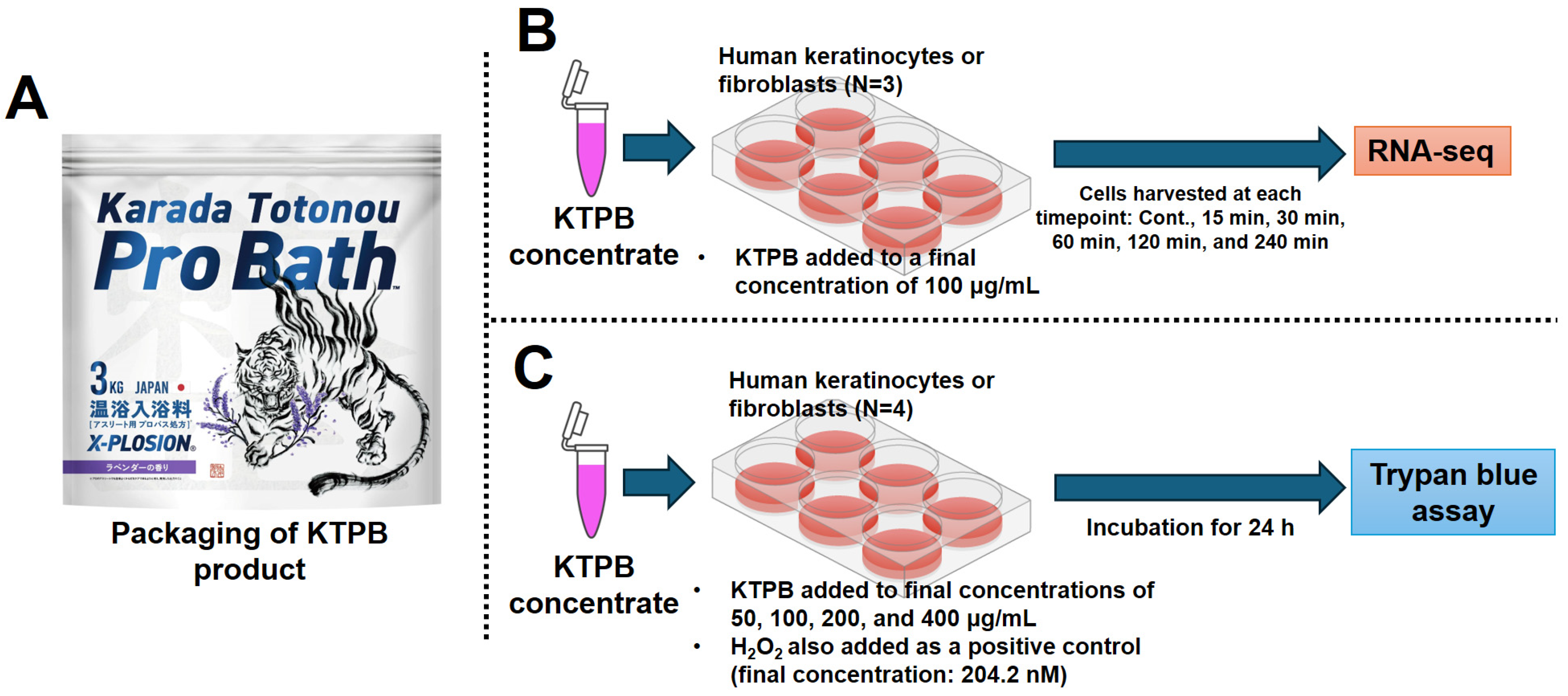 Cosmetics 12 00098 g001