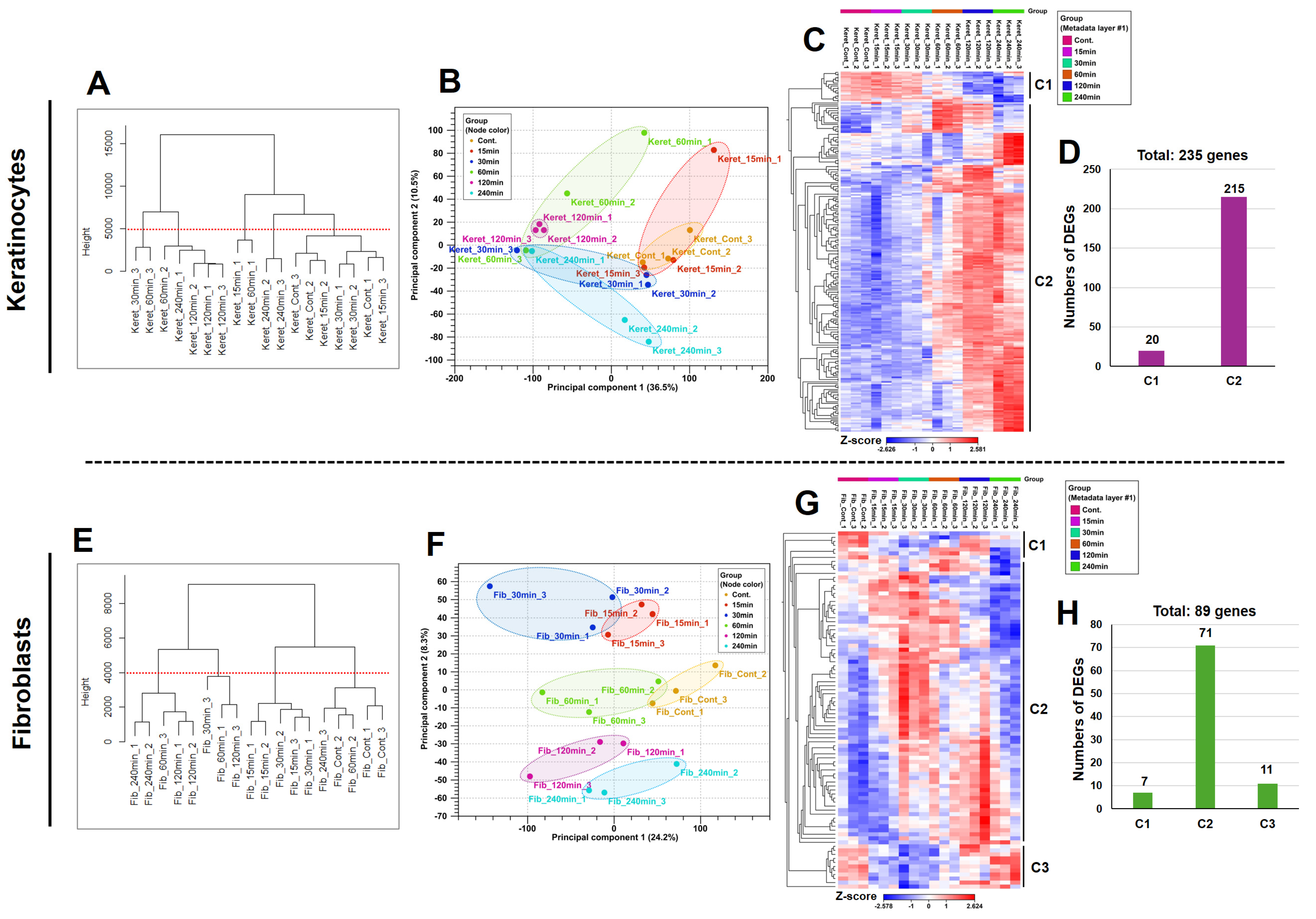 Cosmetics 12 00098 g002