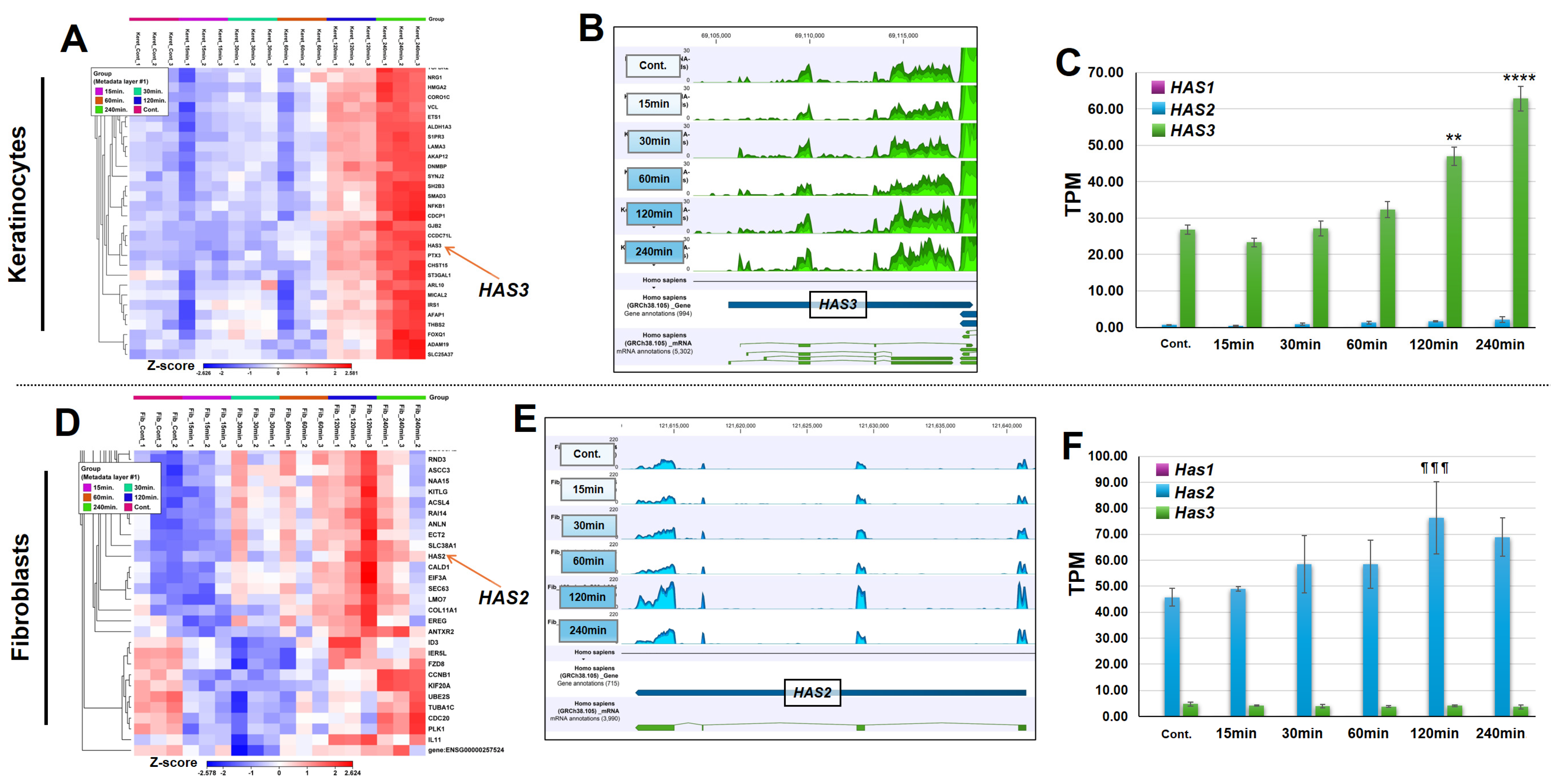 Cosmetics 12 00098 g005