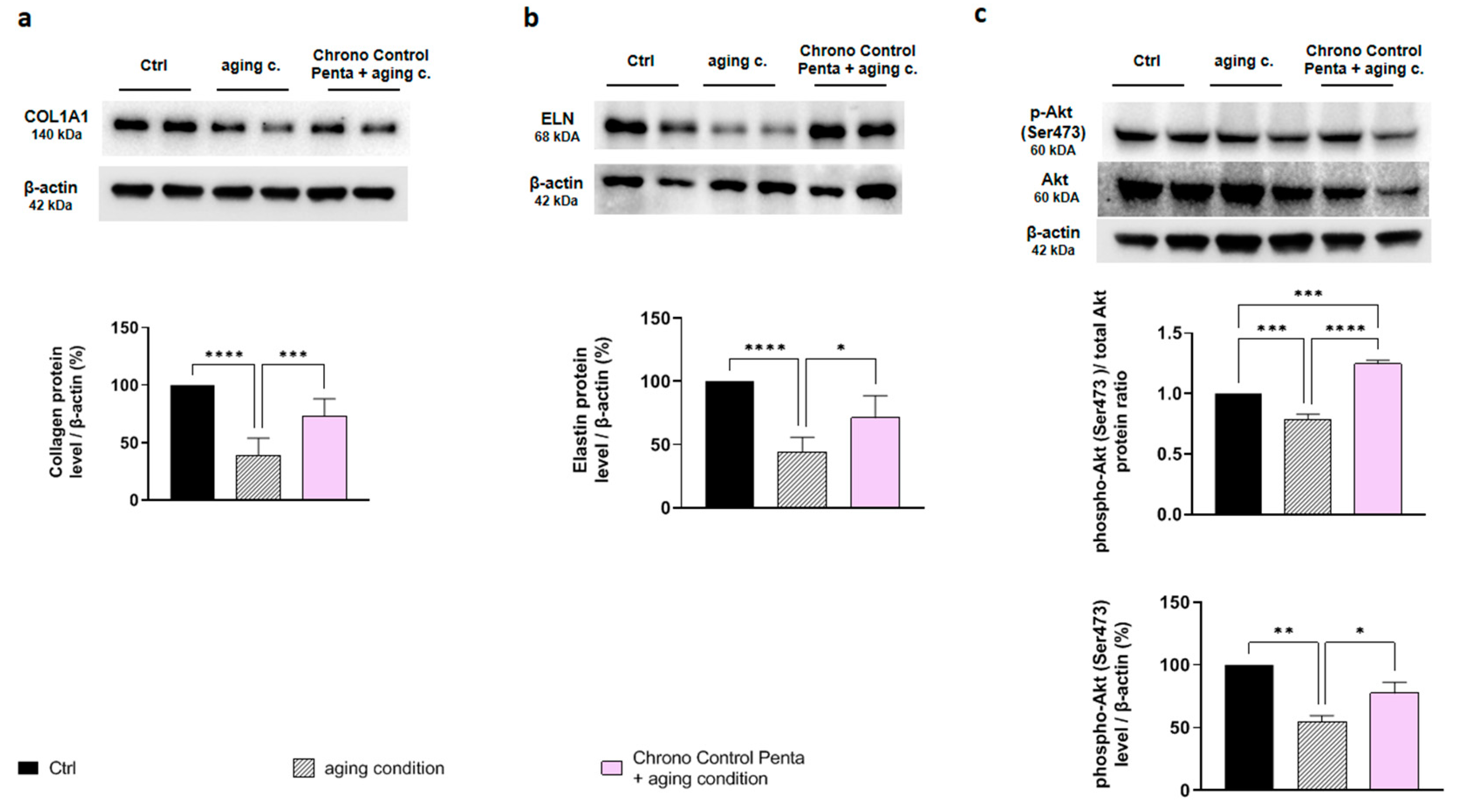 Cosmetics 12 00100 g003
