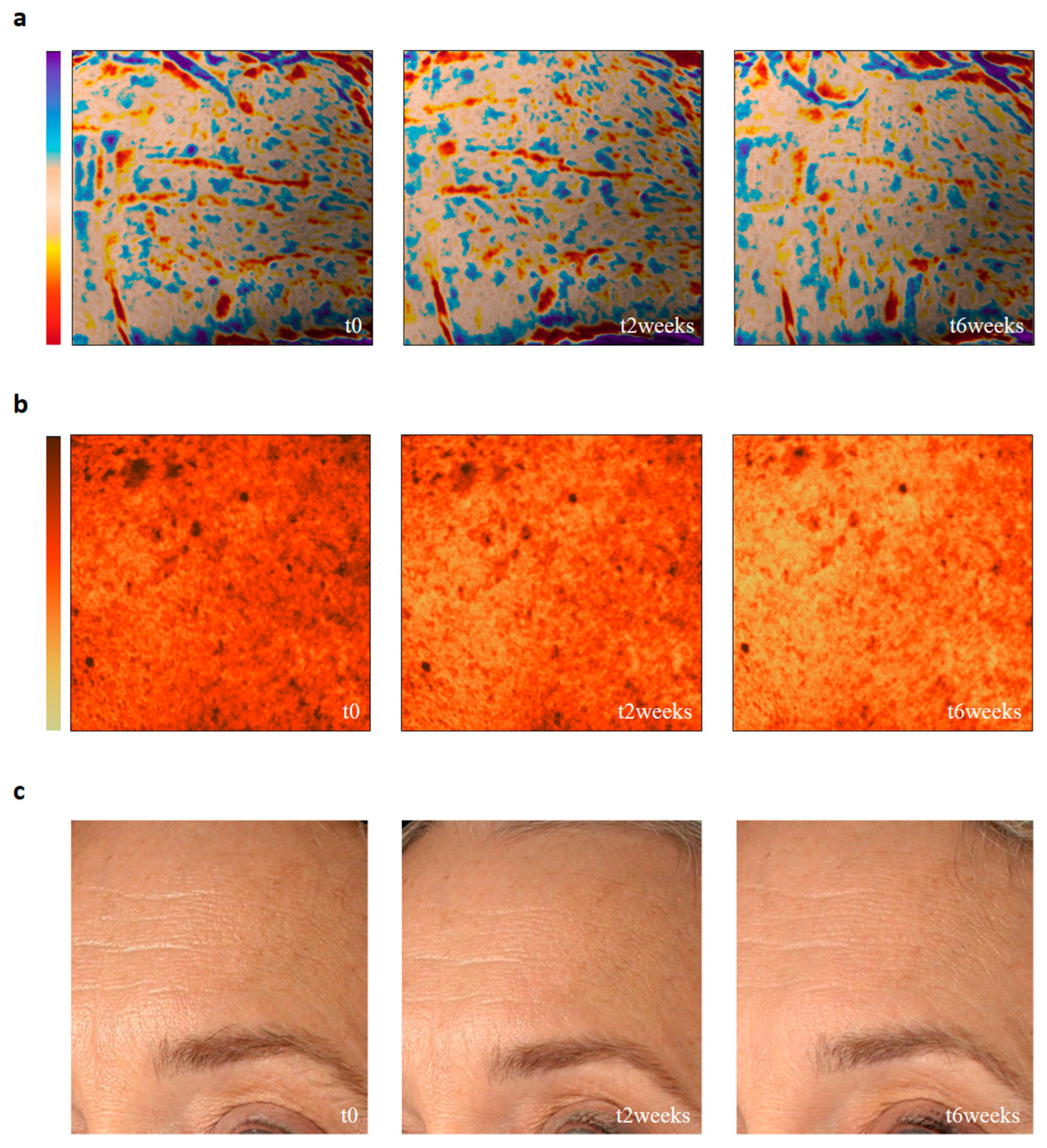 Cosmetics 12 00100 g005