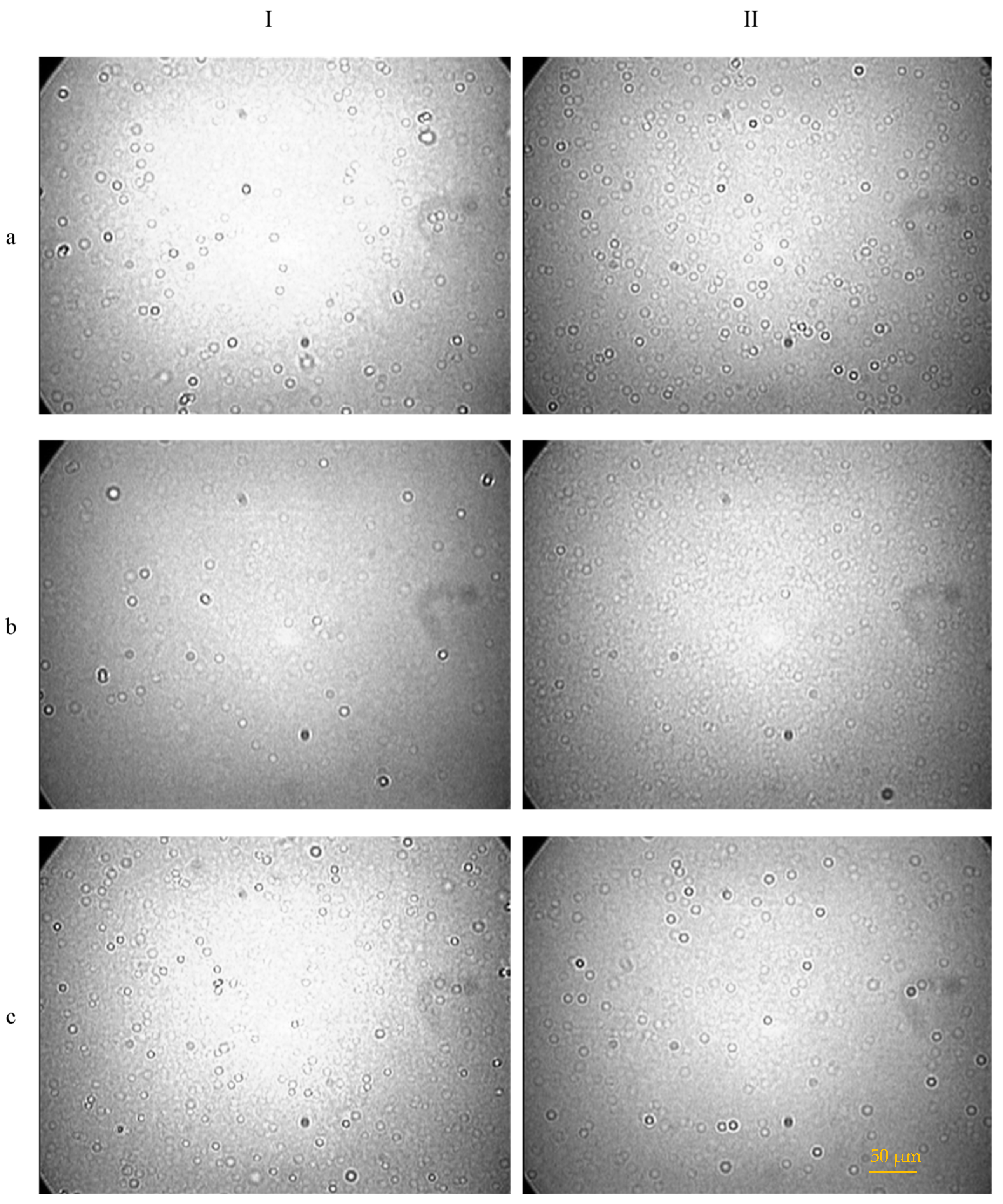 Cosmetics 12 00102 g001