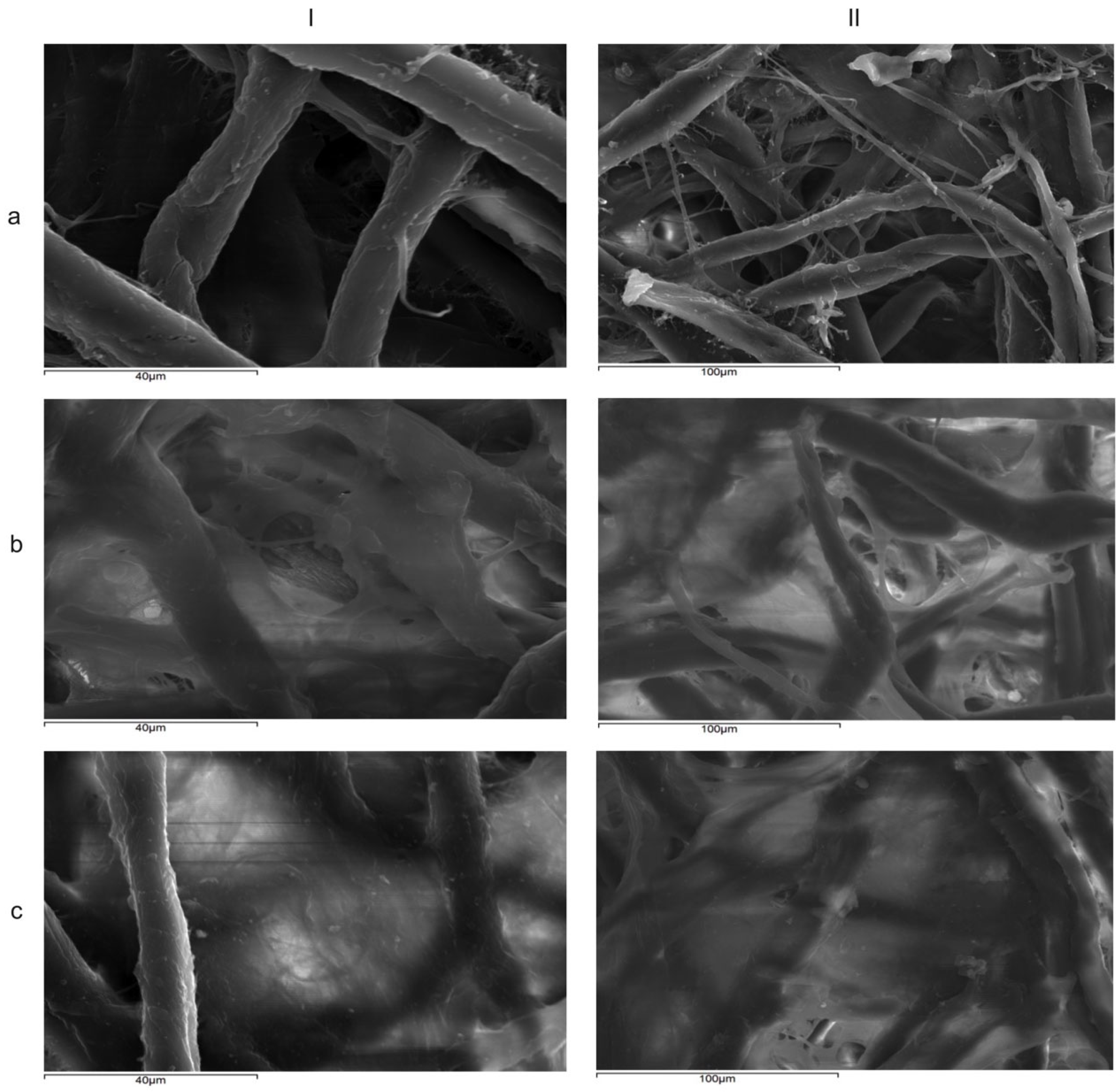 Cosmetics 12 00102 g008