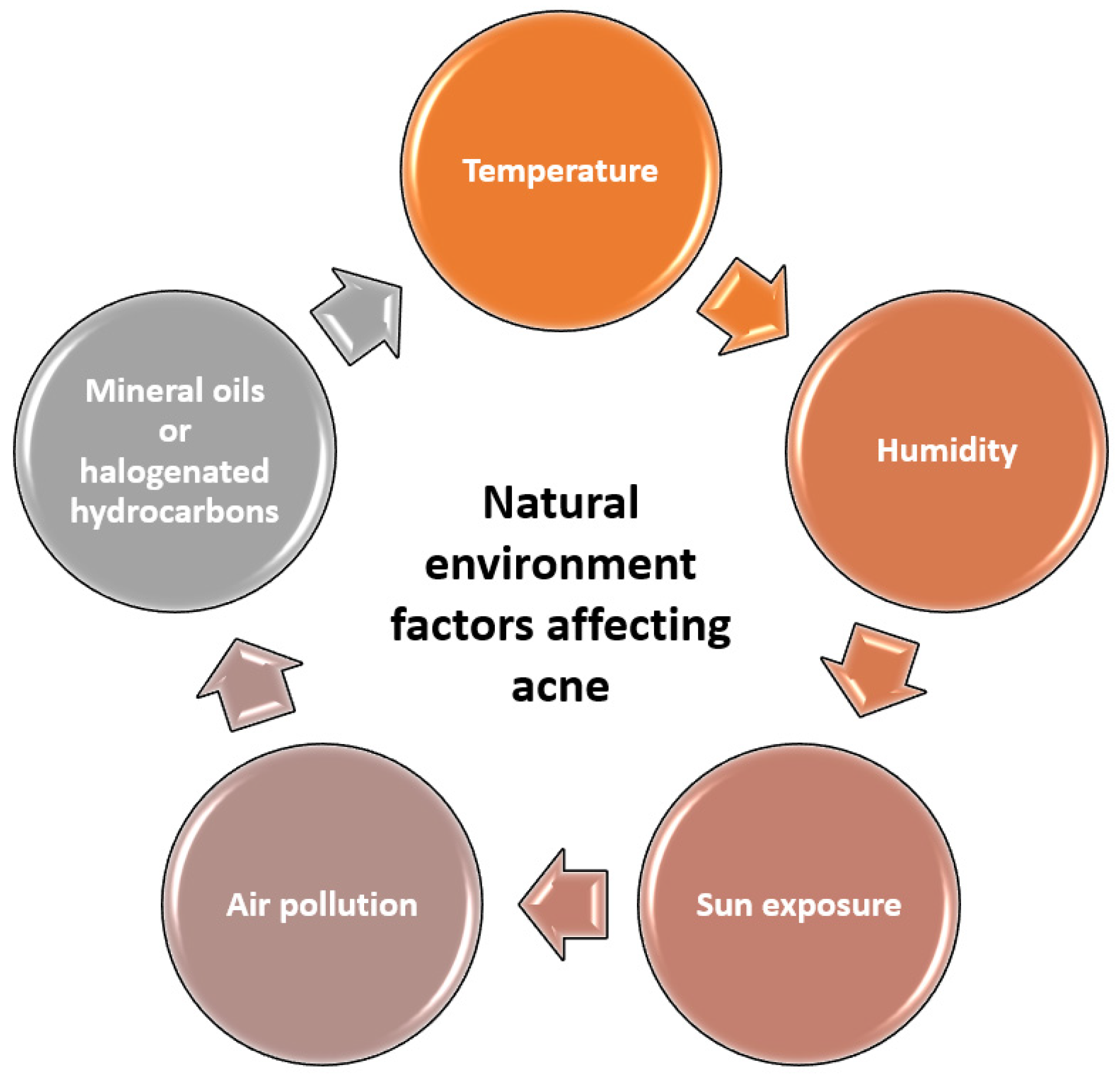 Cosmetics 12 00106 g001