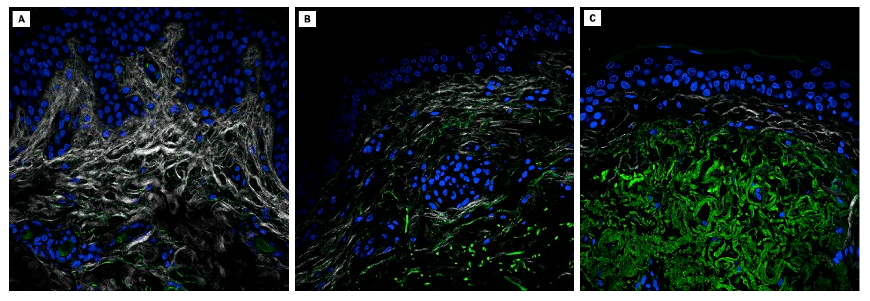 Cosmetics 12 00111 g002