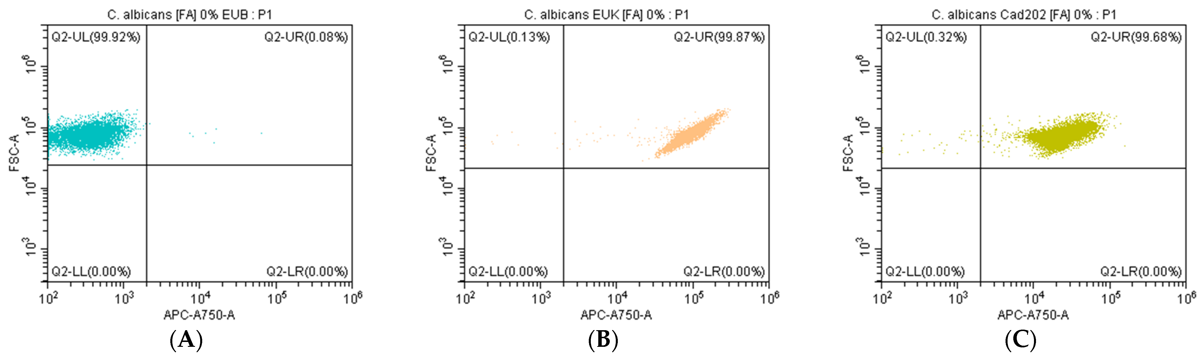 Cosmetics 12 00115 g002