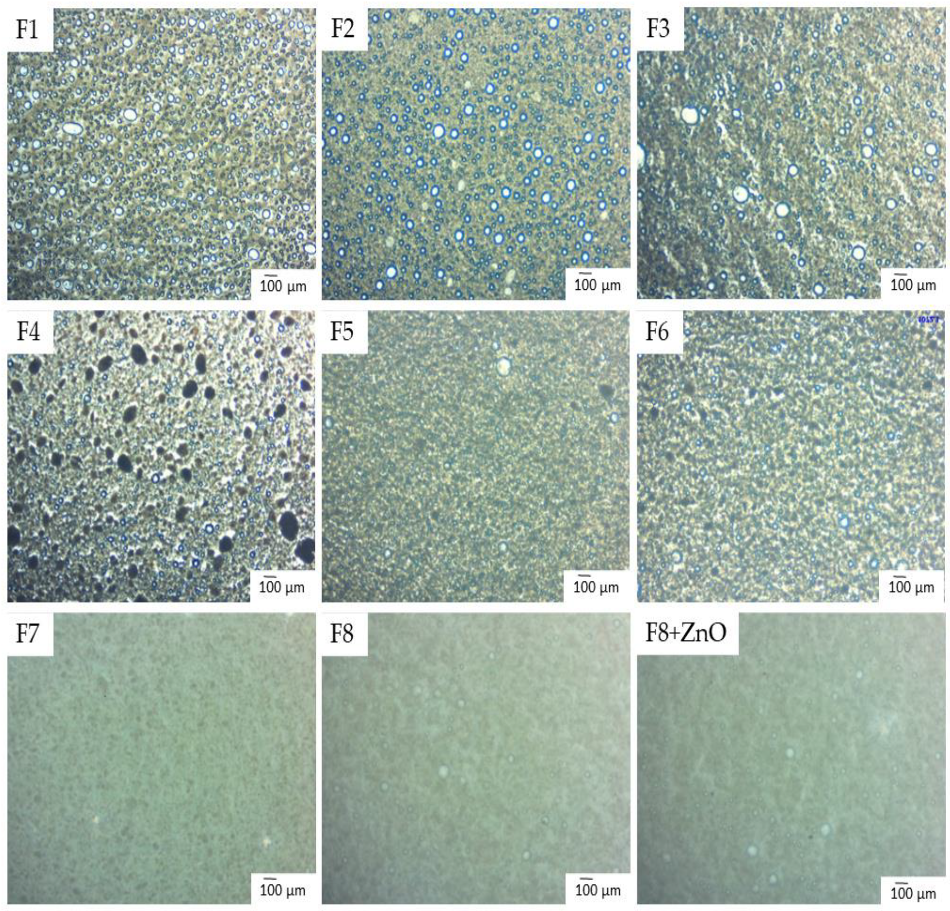 Cosmetics 12 00118 g003