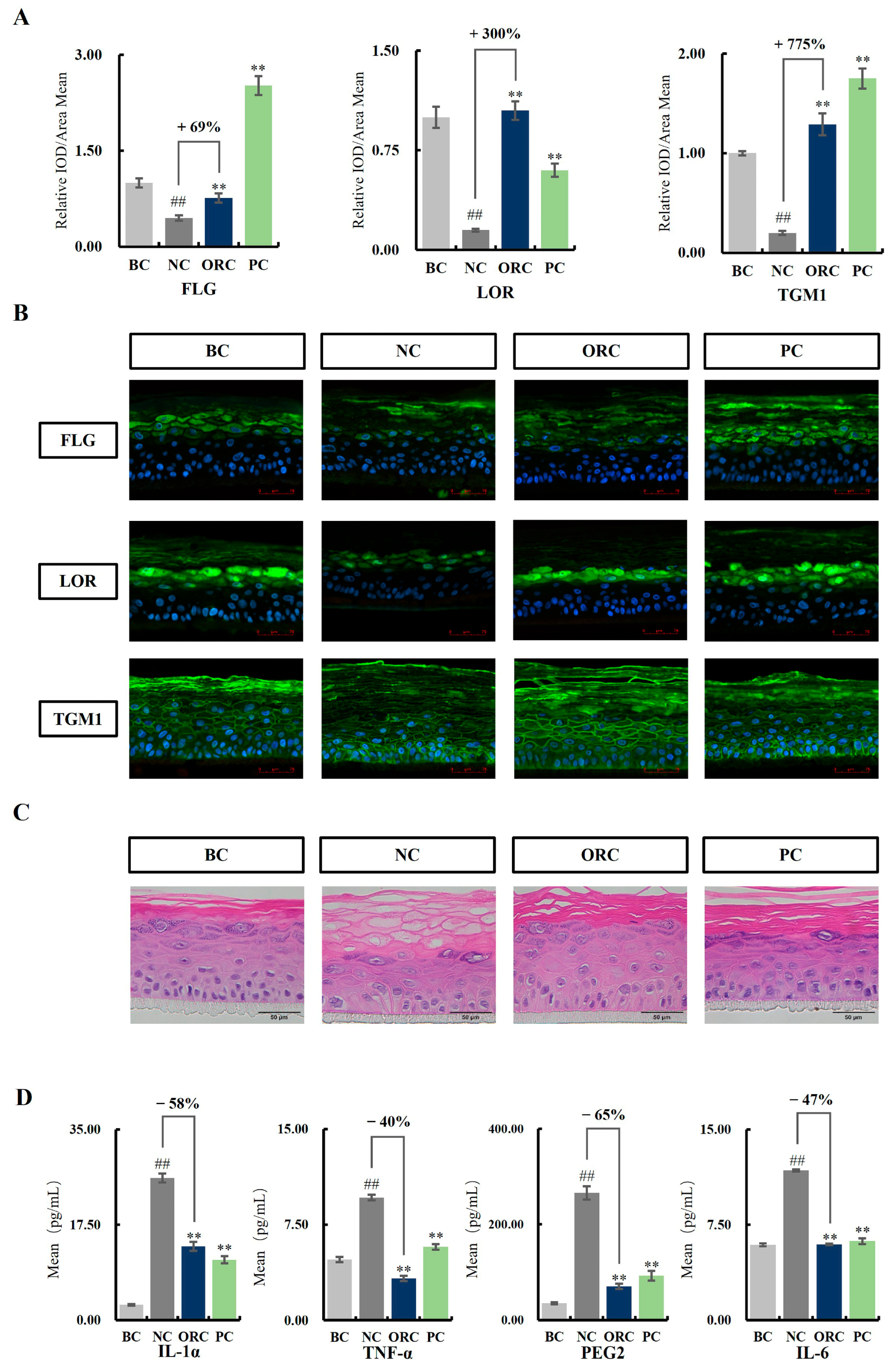 Cosmetics 12 00119 g001