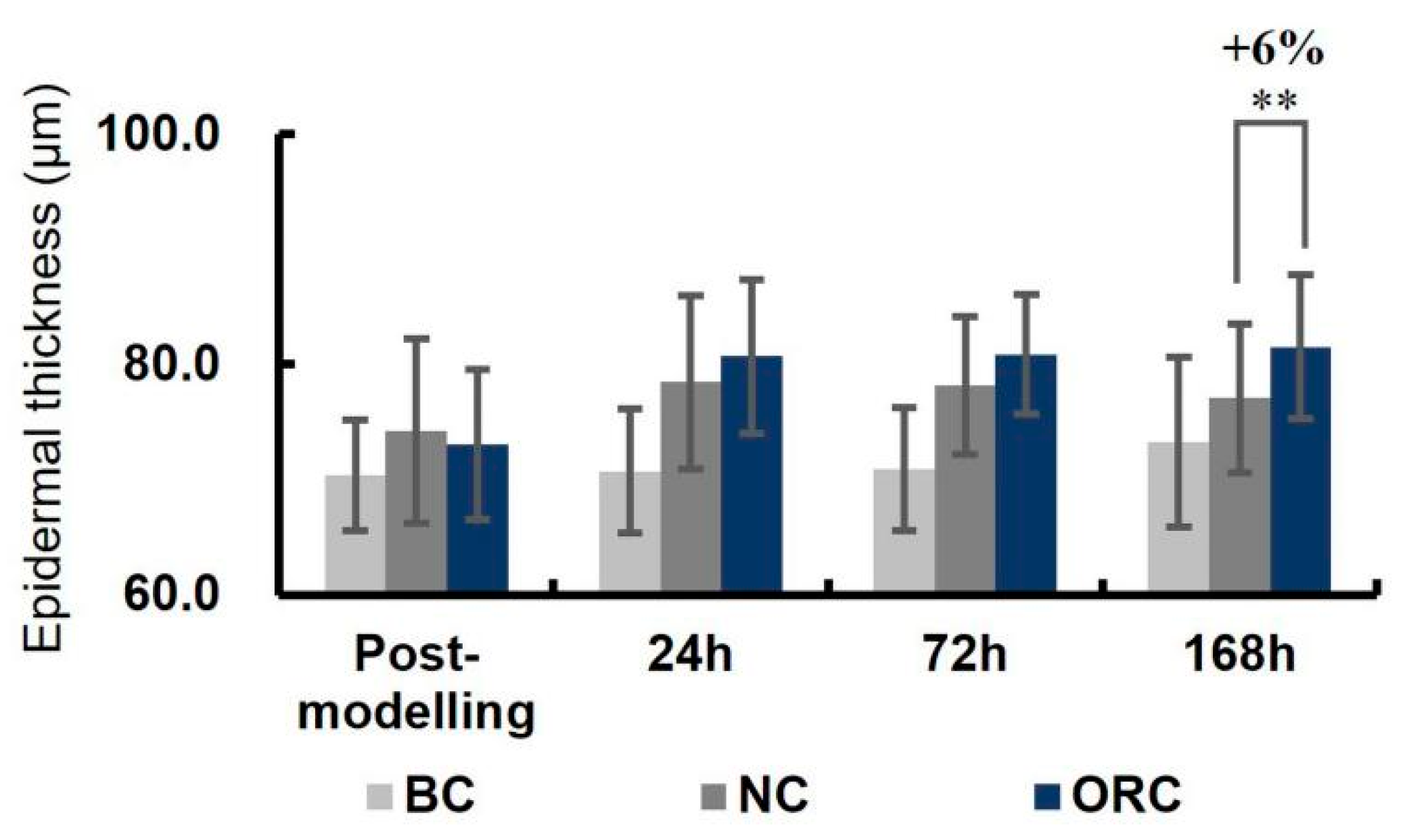 Cosmetics 12 00119 g007