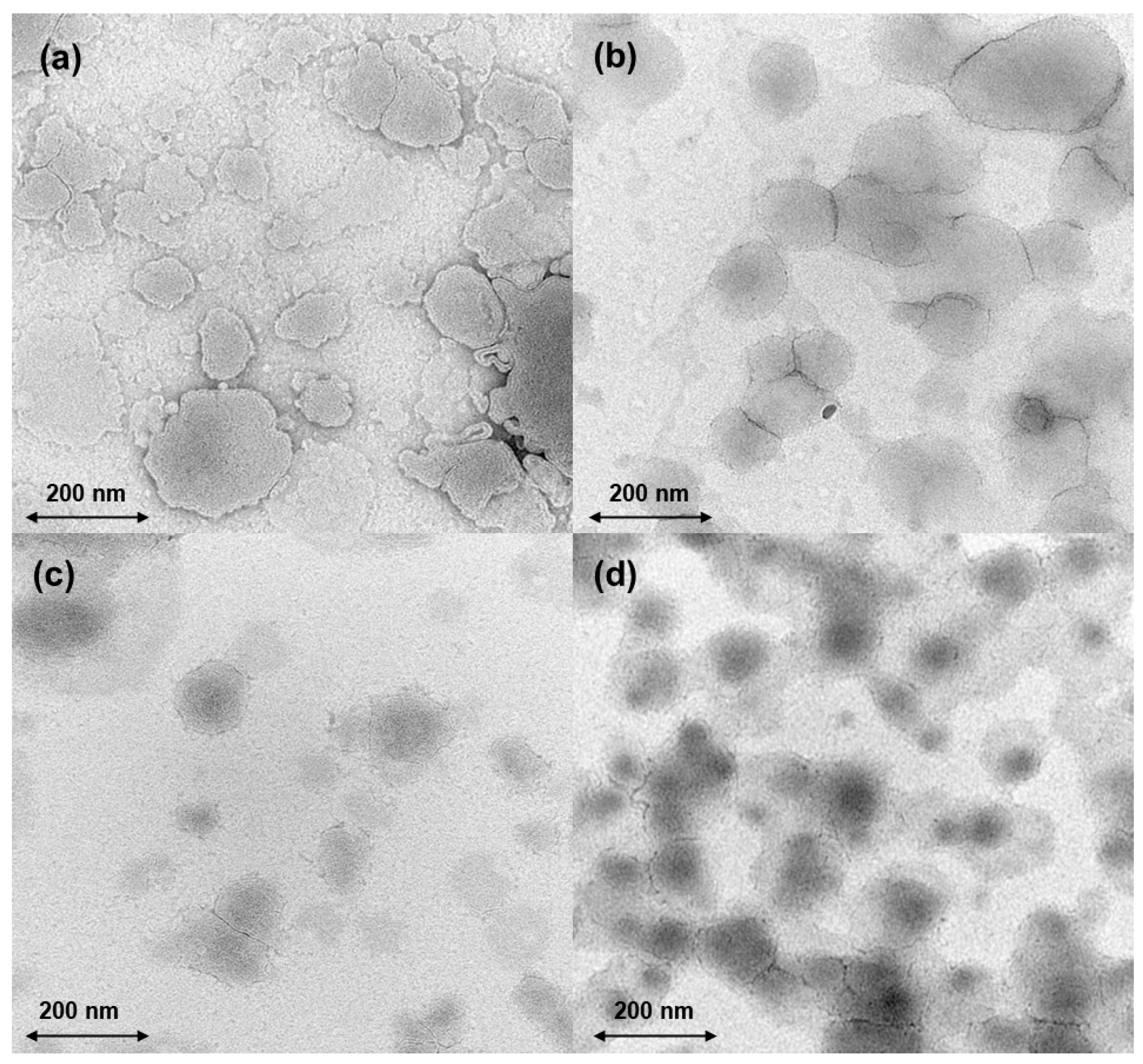 Cosmetics 12 00122 g002