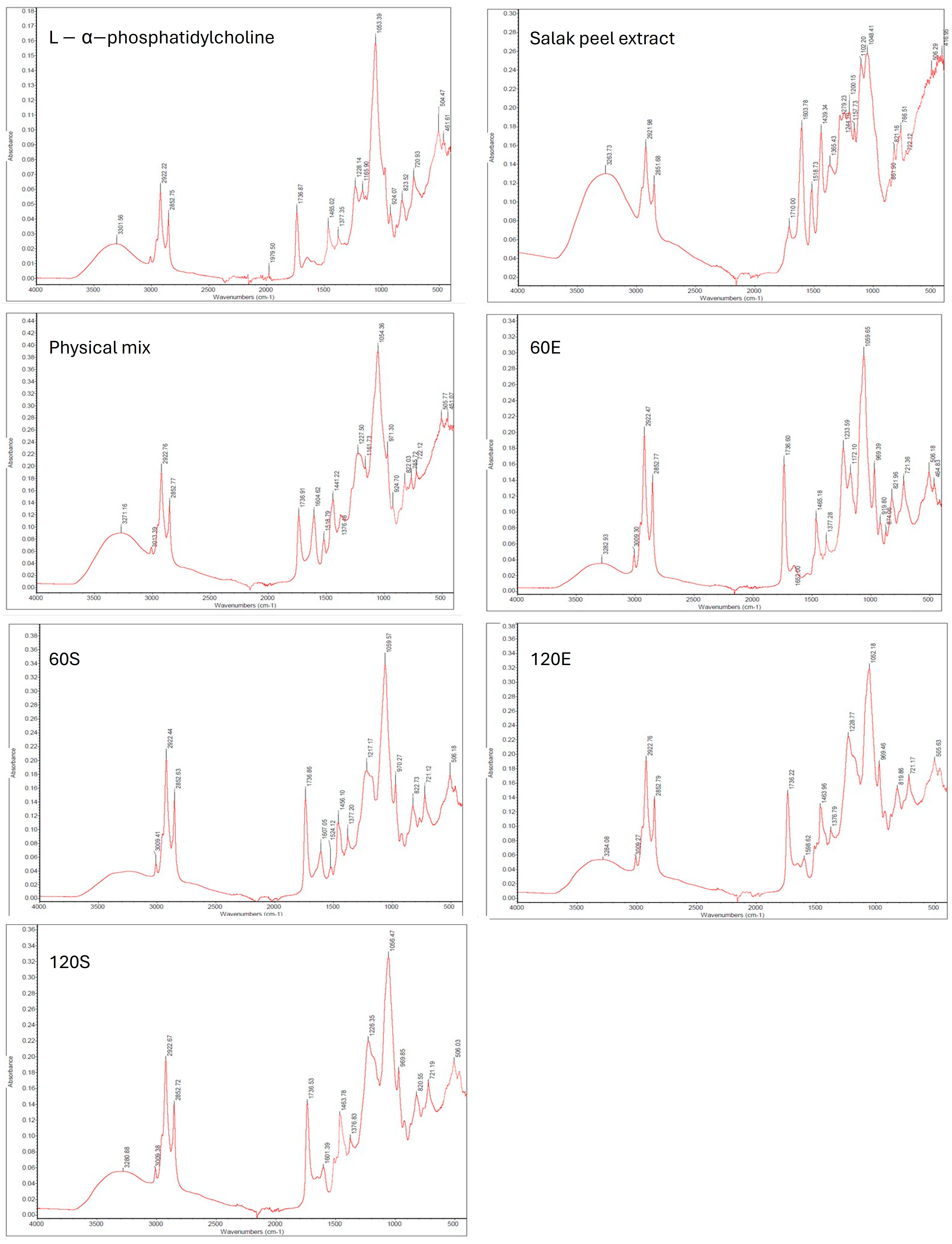 Cosmetics 12 00122 g003