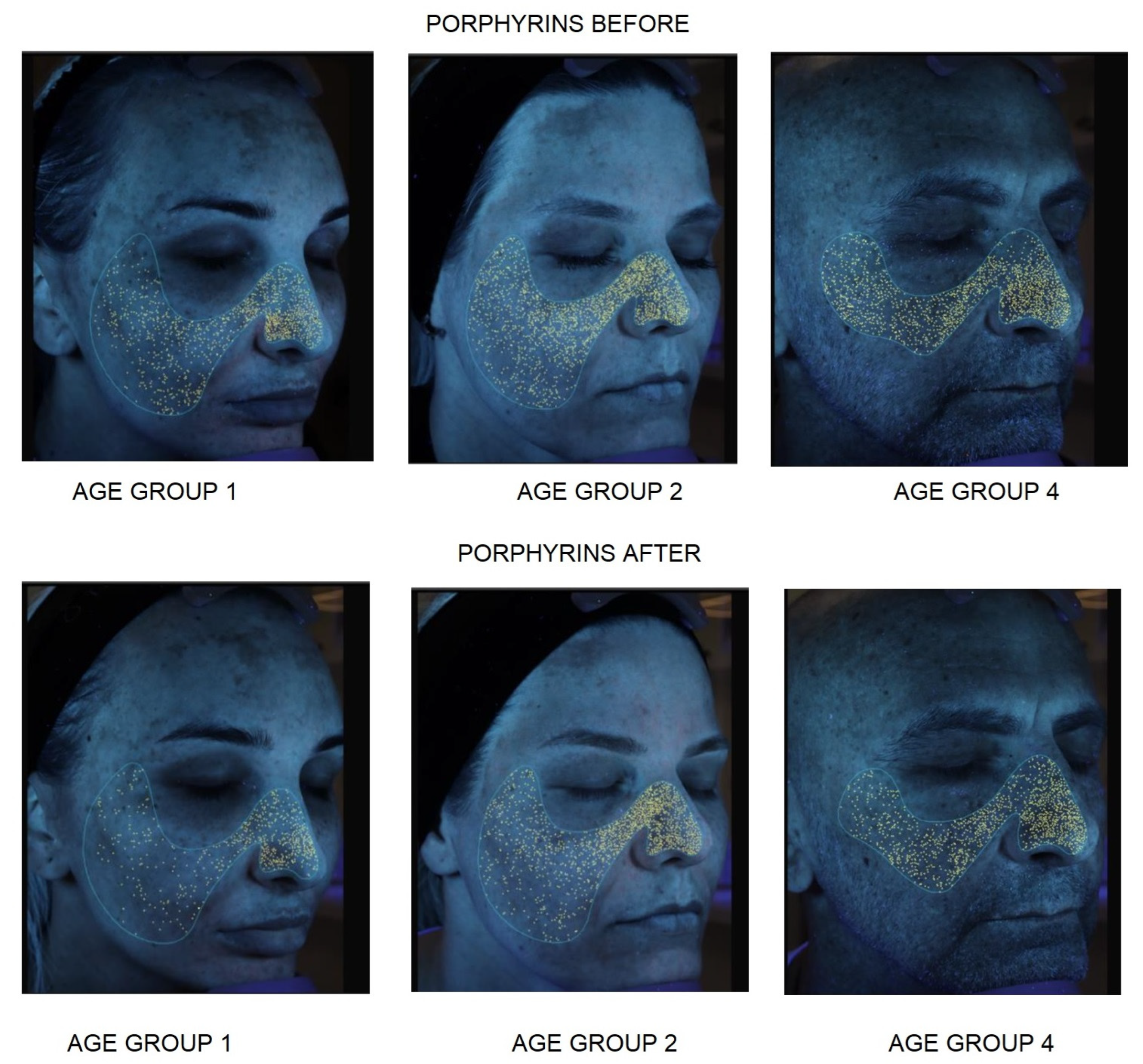 Cosmetics 12 00125 g008
