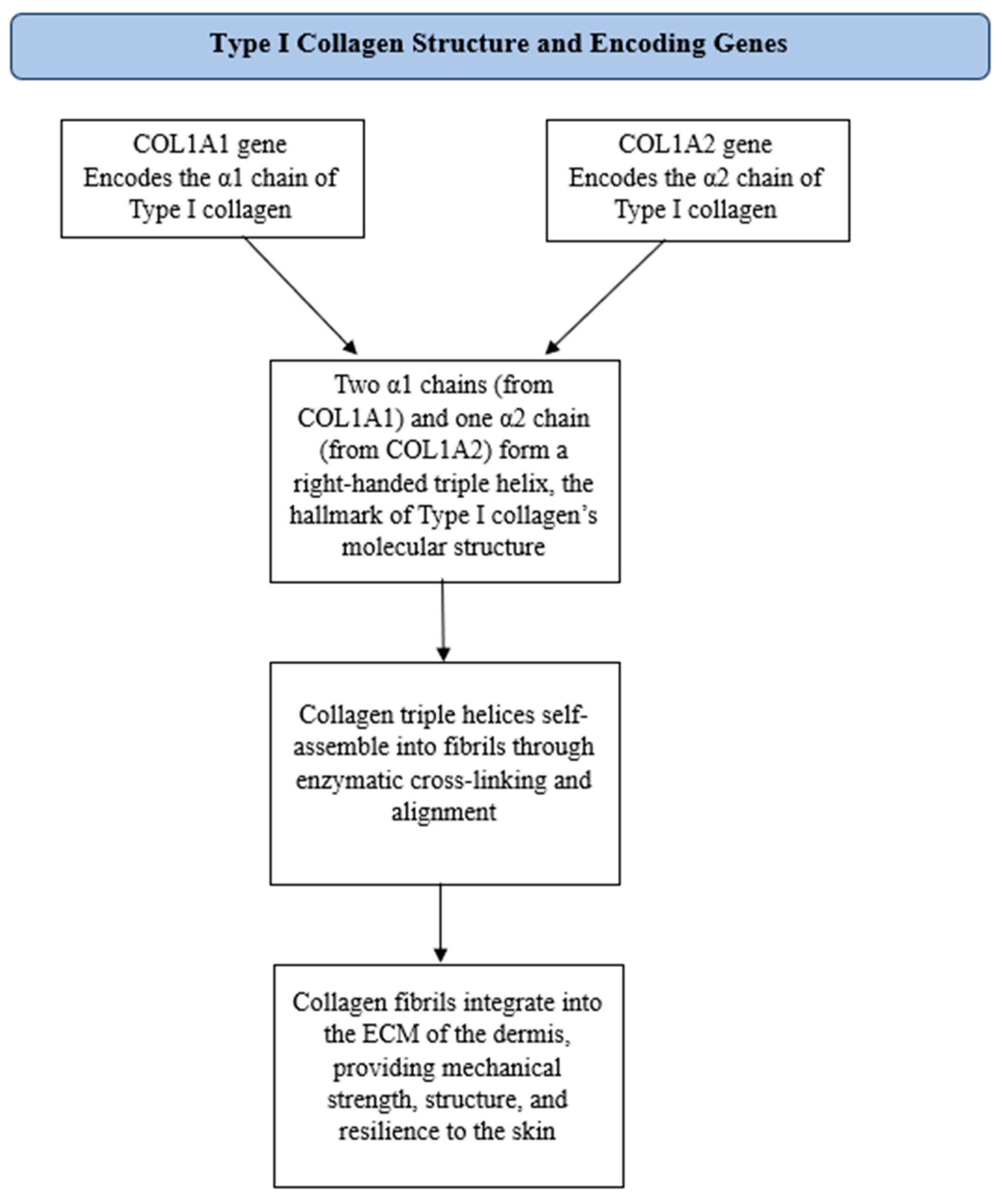 Cosmetics 12 00129 g002